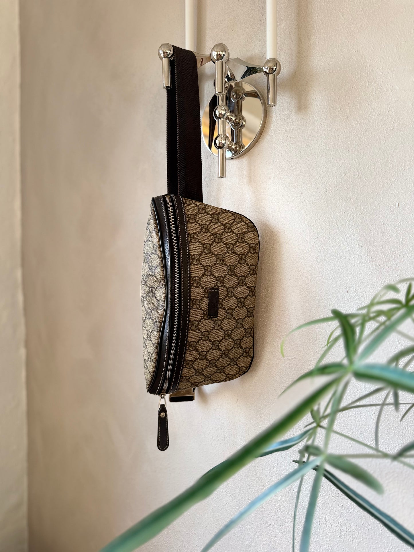 Gucci Bumbag/waistbag