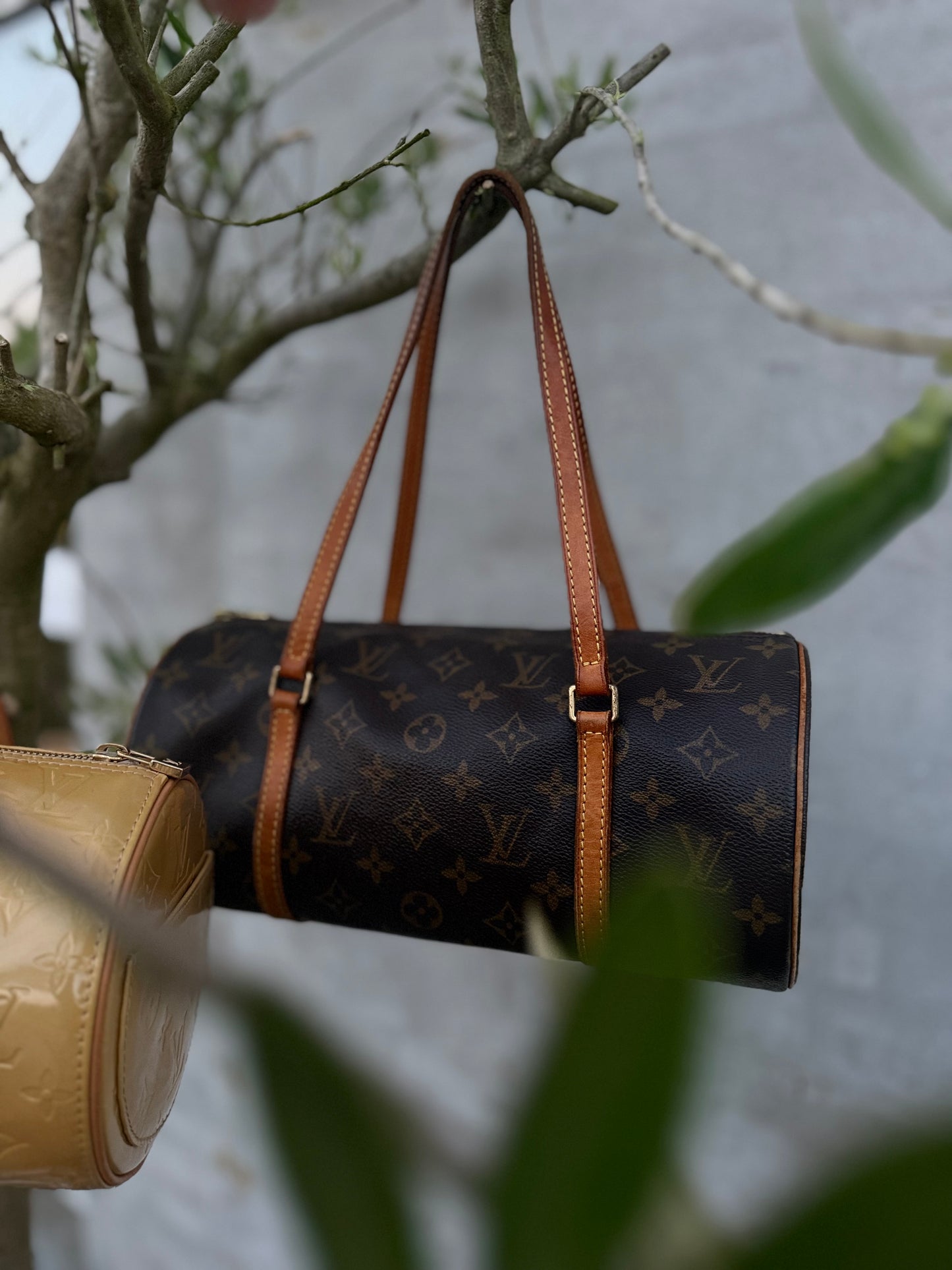 Louis Vuitton Papillon 30