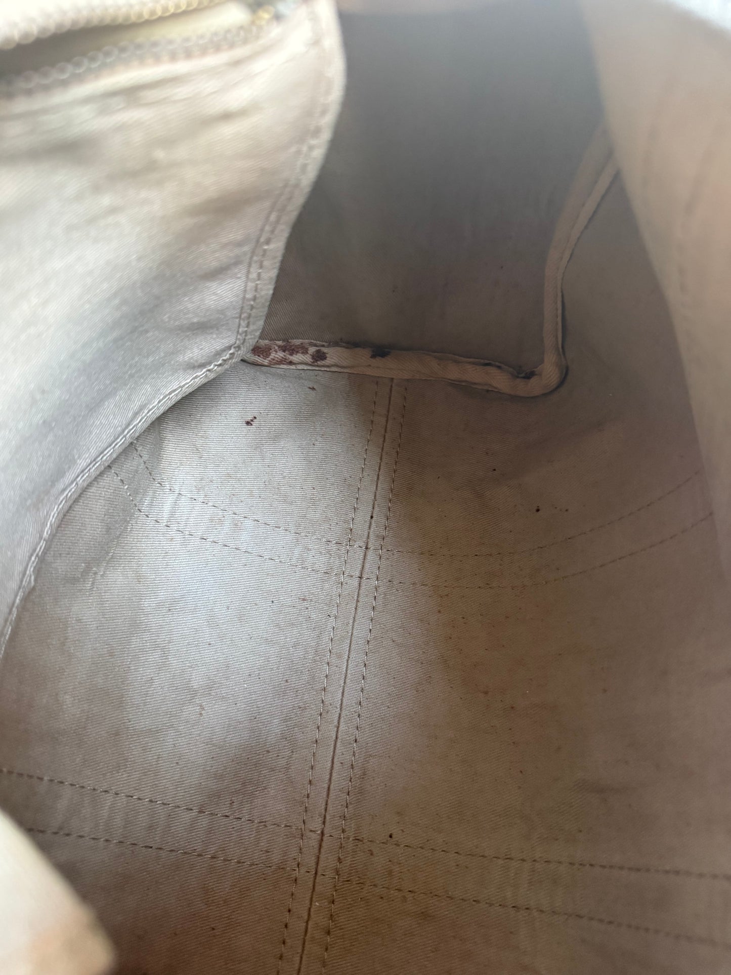 Christian Dior Trotter bag