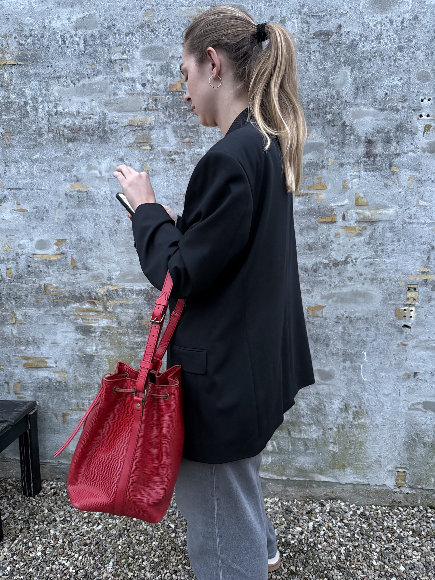 Louis Vuitton Noe Petit epi