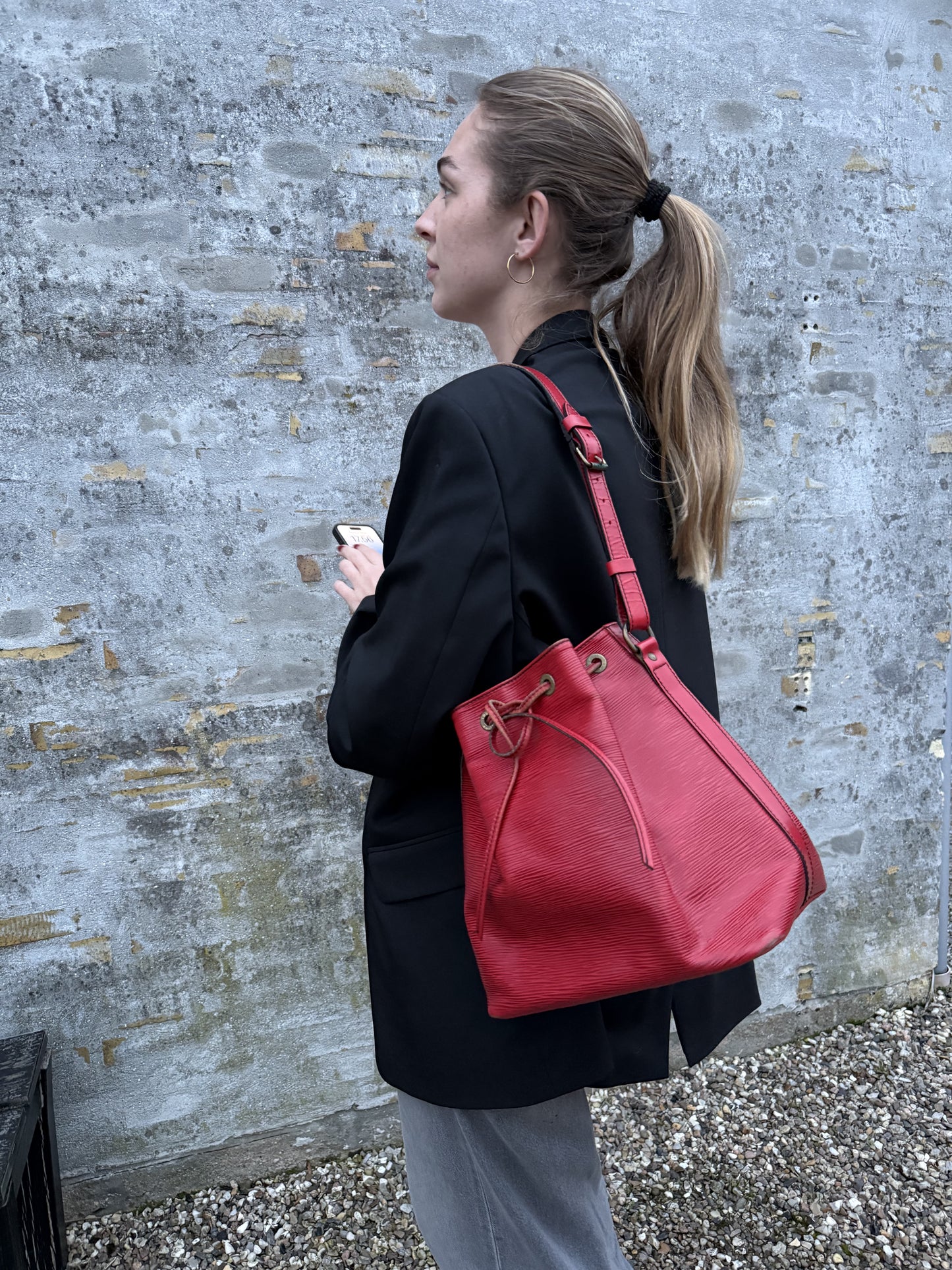 Louis Vuitton Noe Petit epi