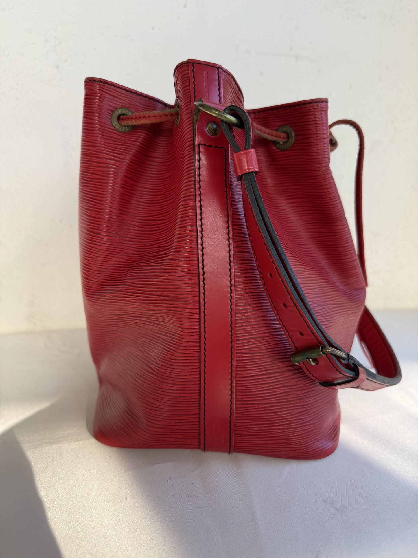 Louis Vuitton Noe Petit epi