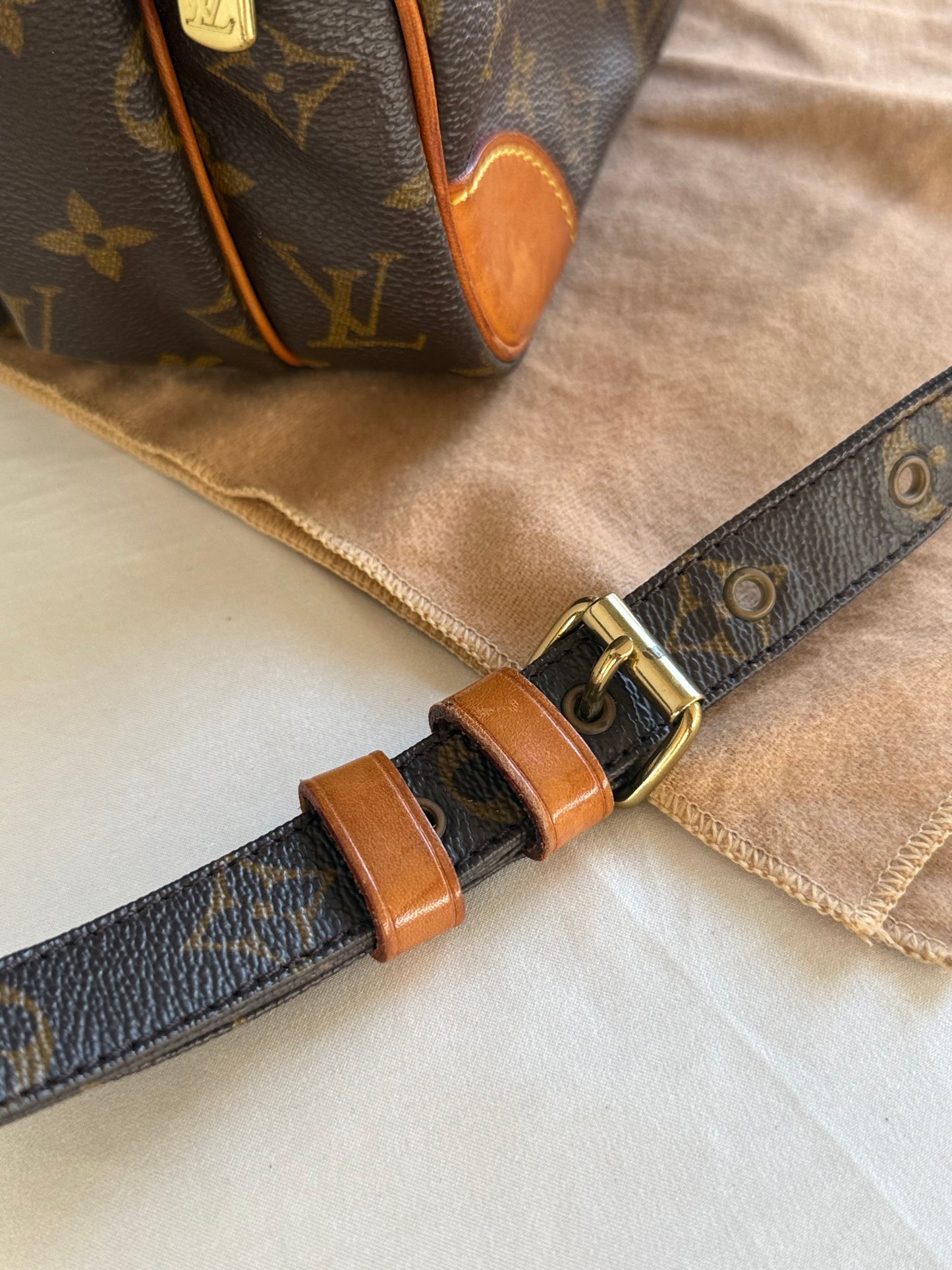 Louis Vuitton Nile bag