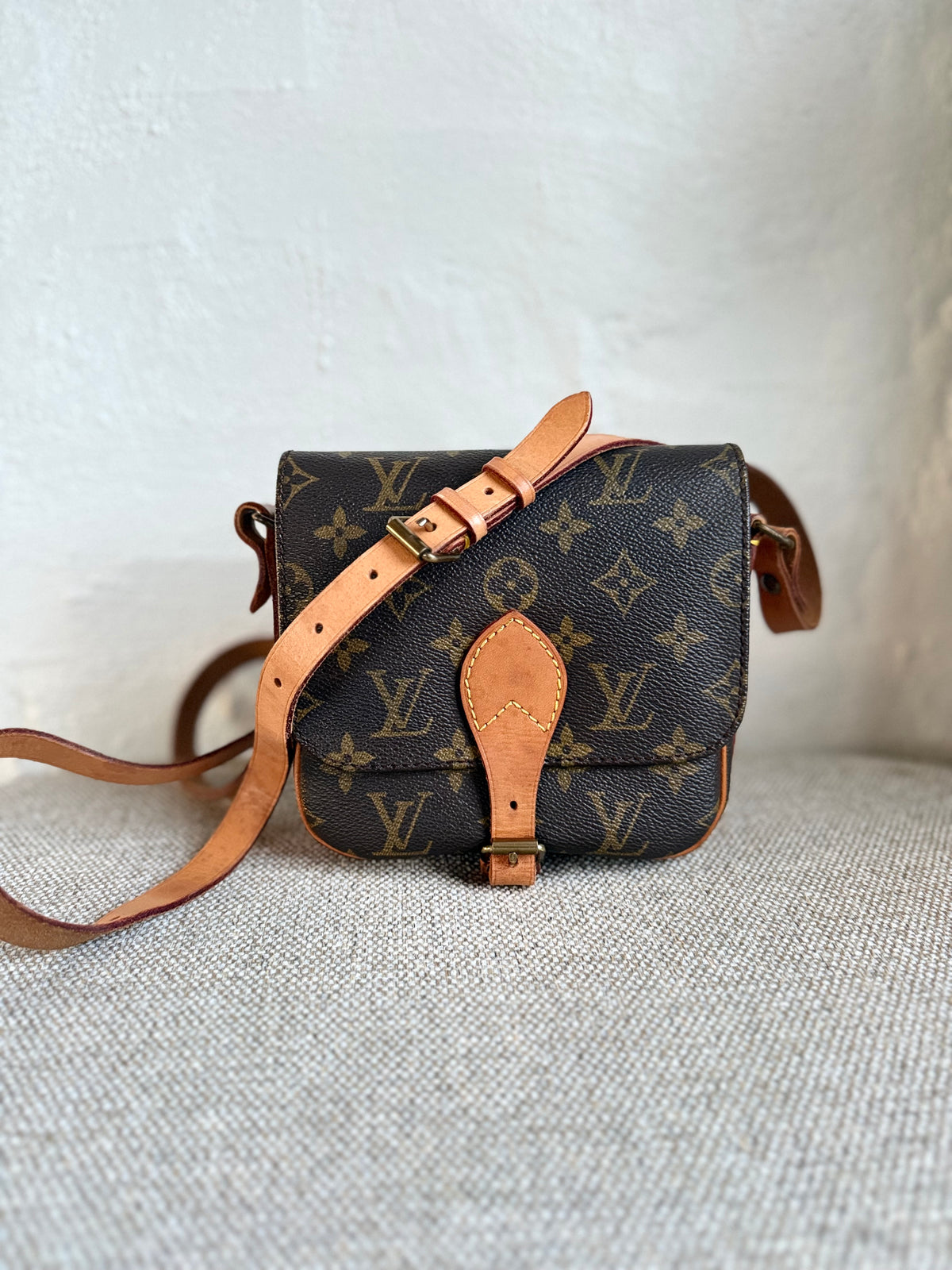 Louis Vuitton Cartouchière PM
