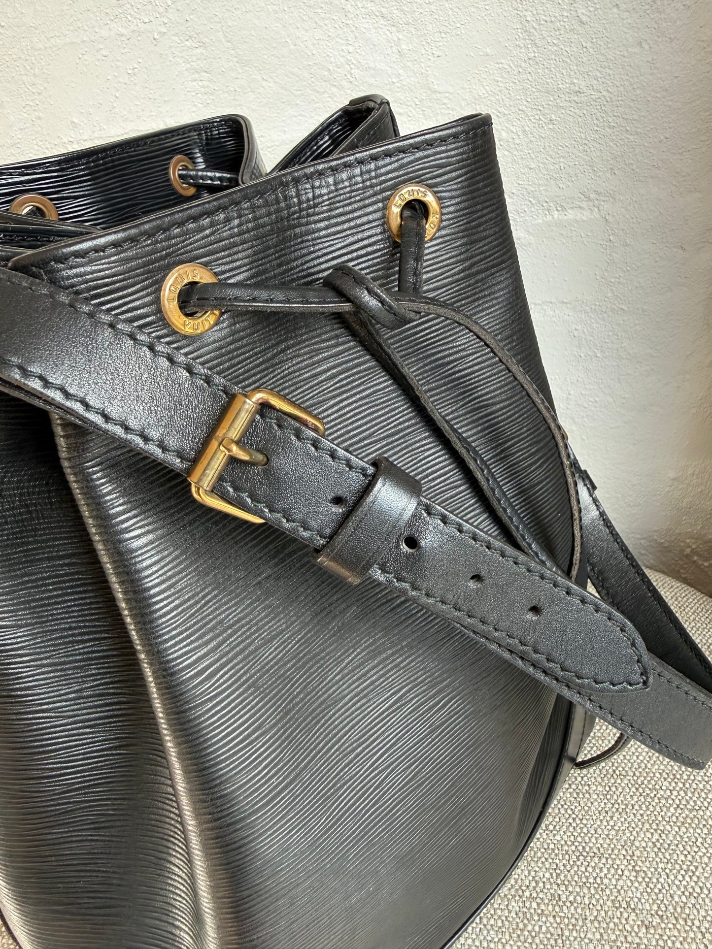 Louis Vuitton Noé Epi
