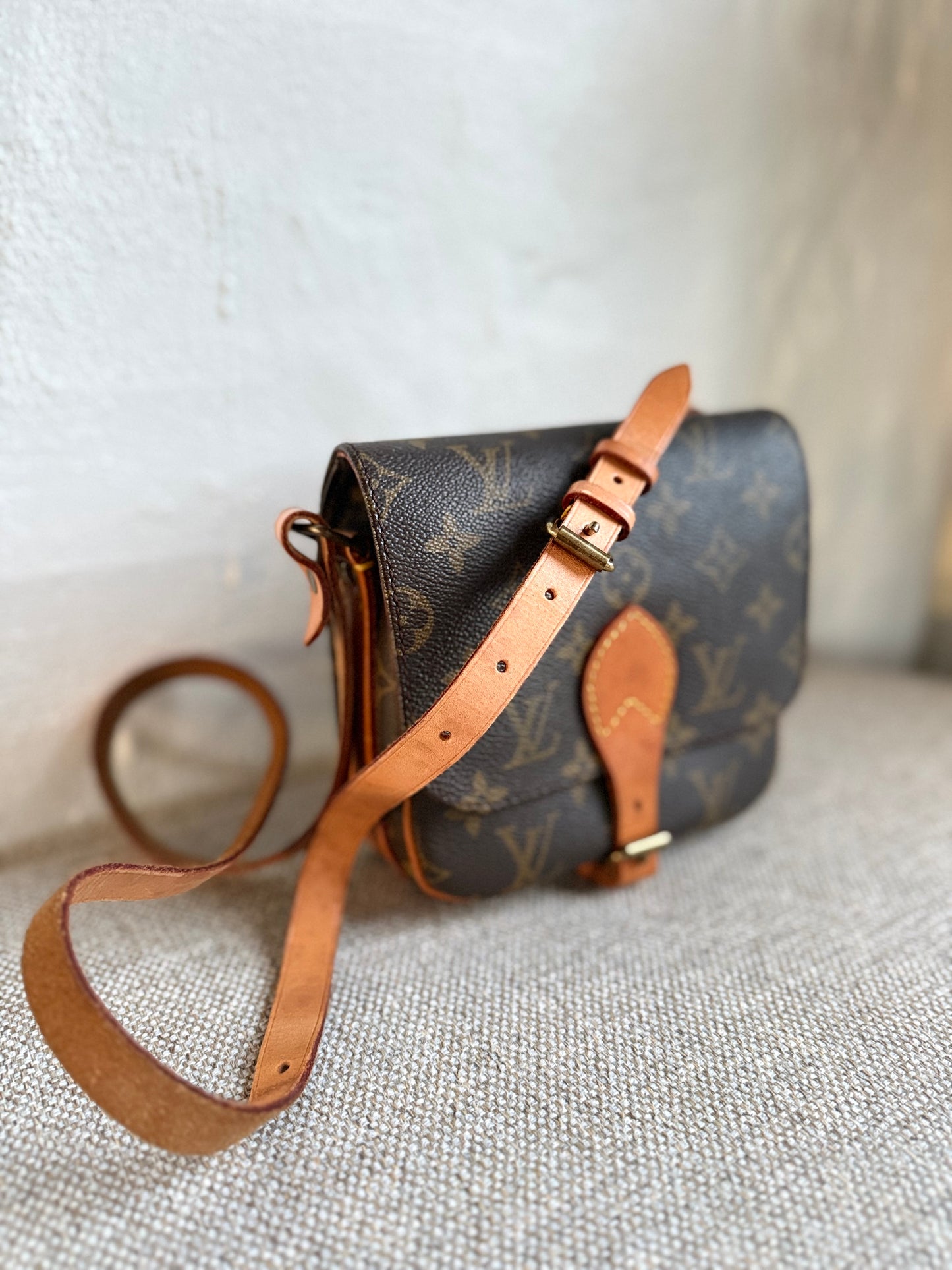 Louis Vuitton Cartouchière PM