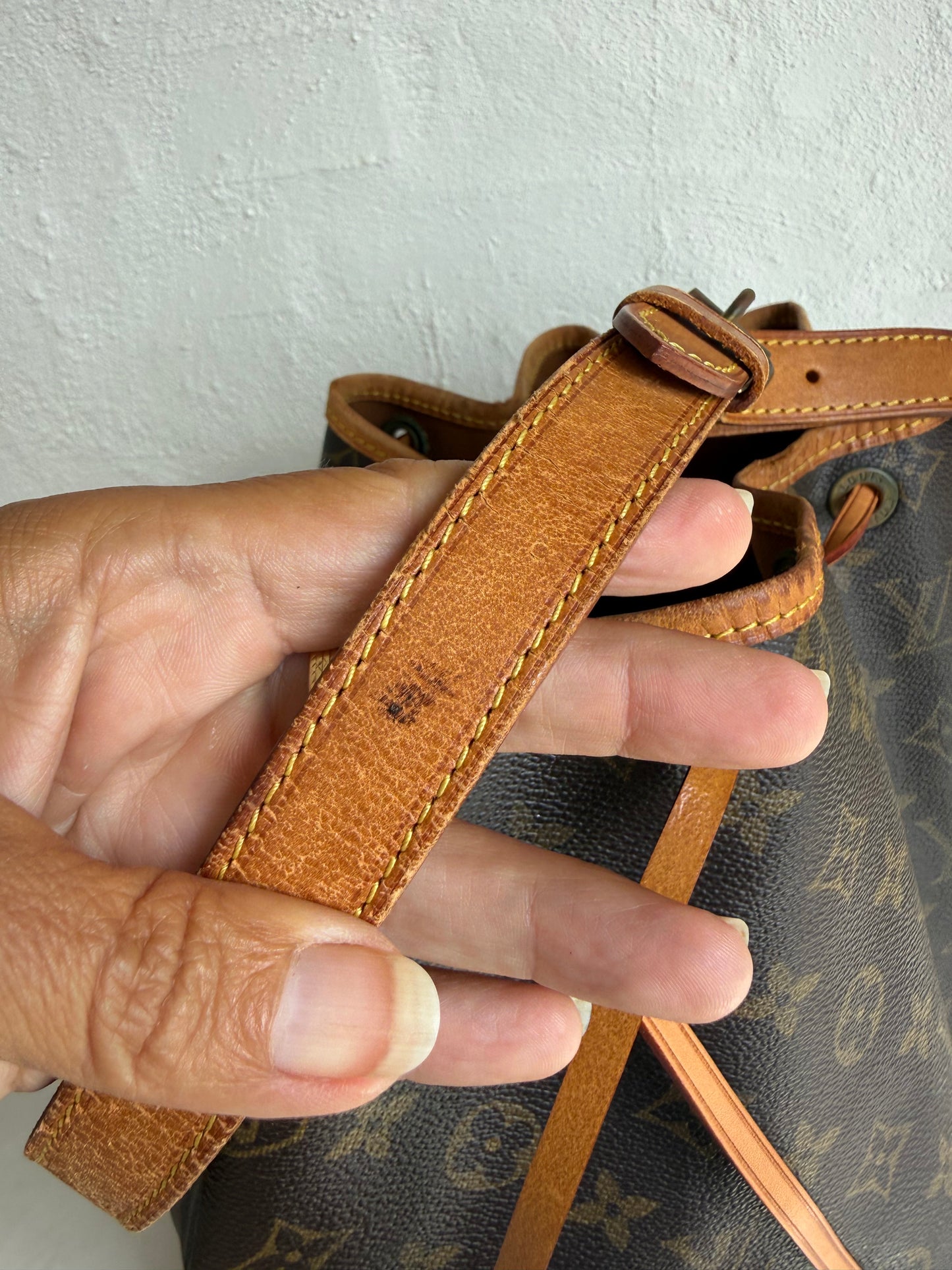 Louis Vuitton Noé