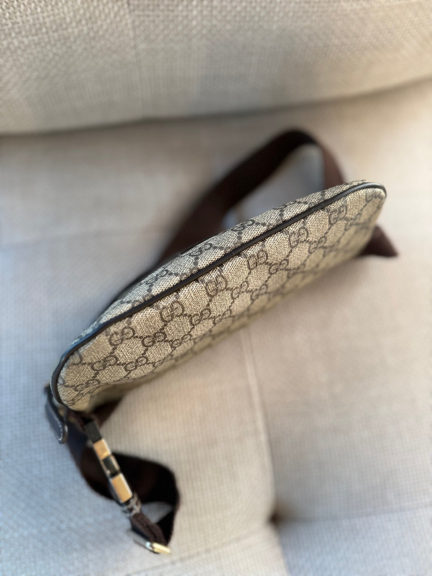Gucci Bumbag/waistbag