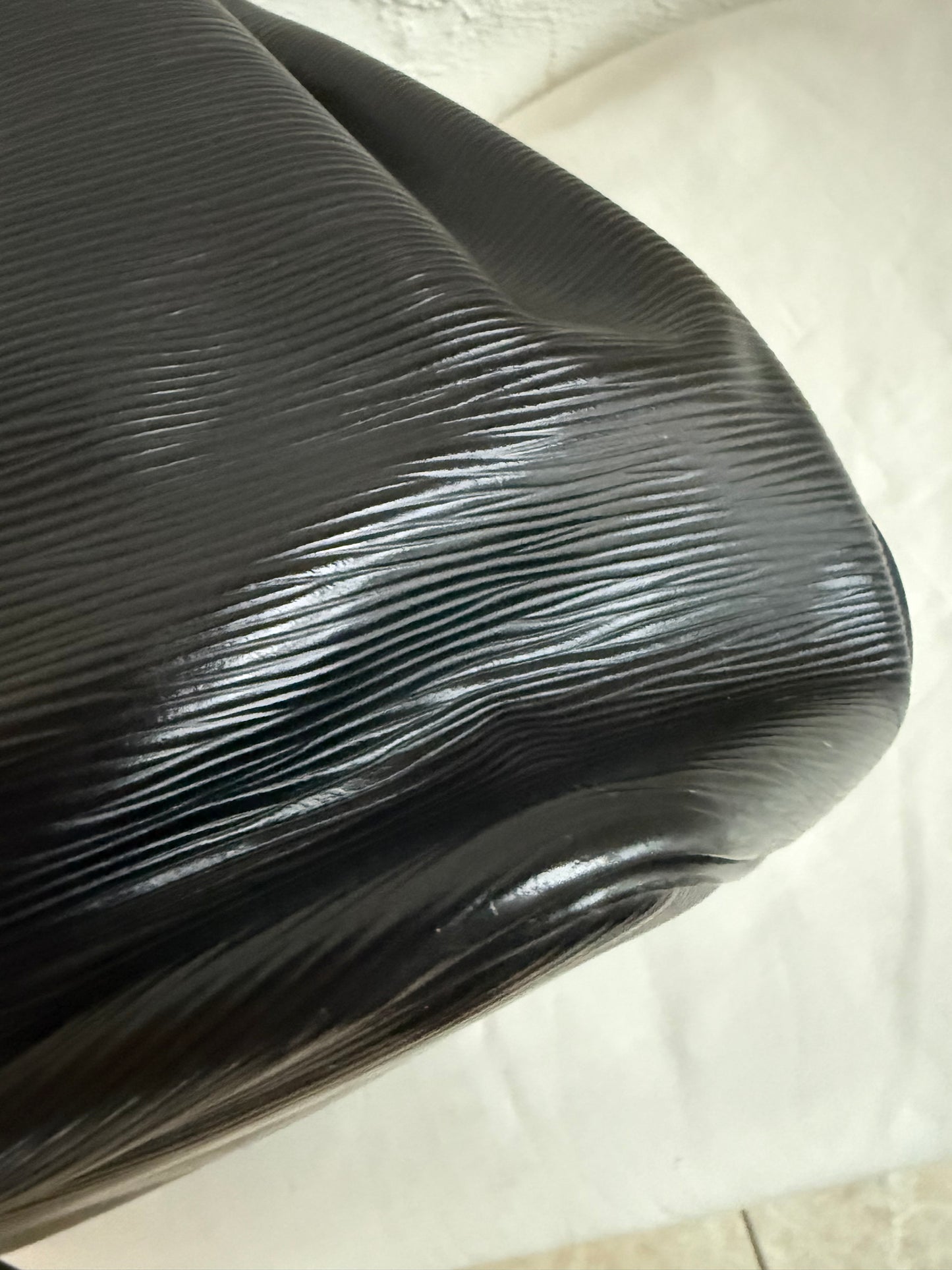 Louis Vuitton Noé Epi