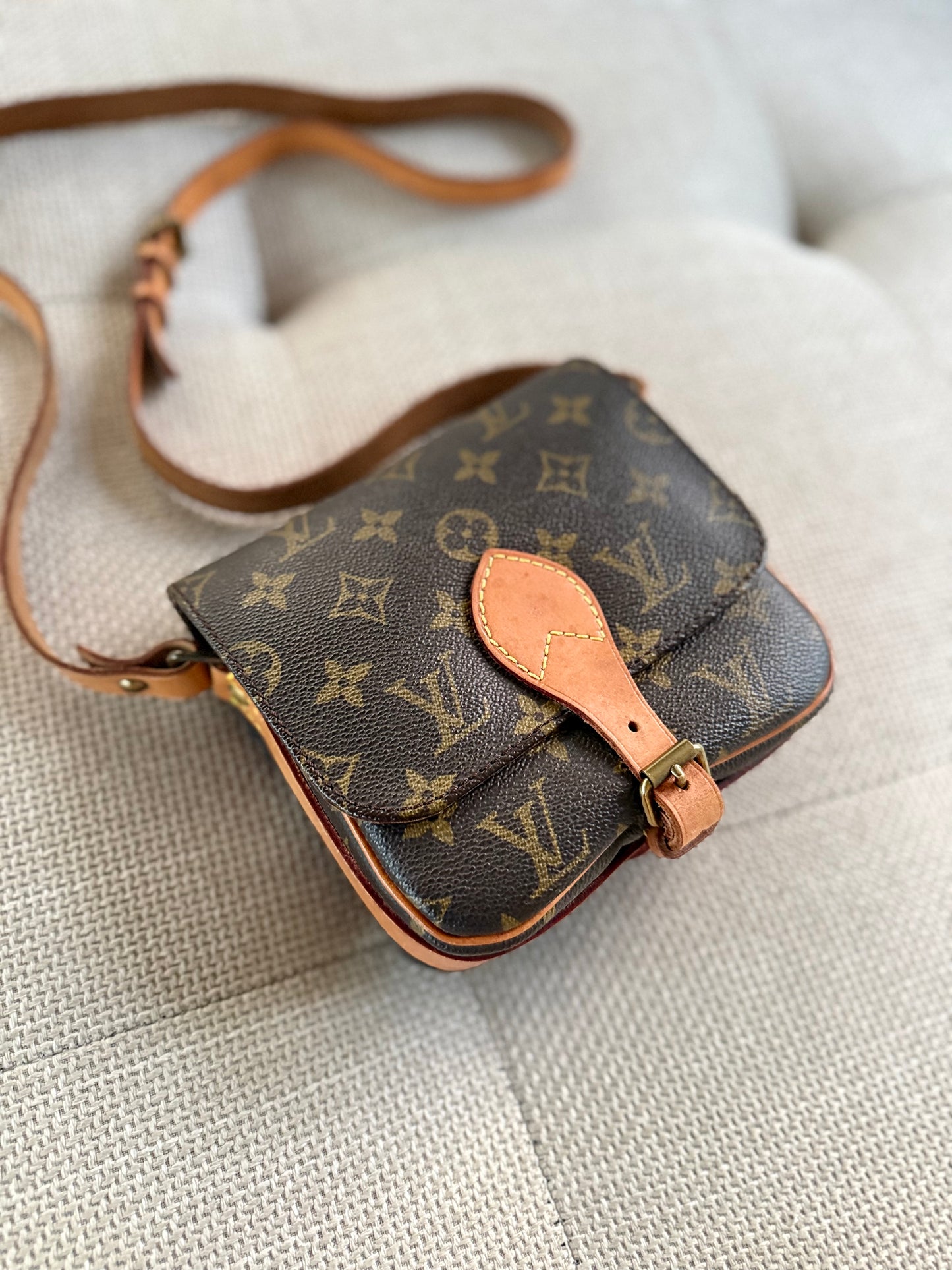 Louis Vuitton Cartouchière PM