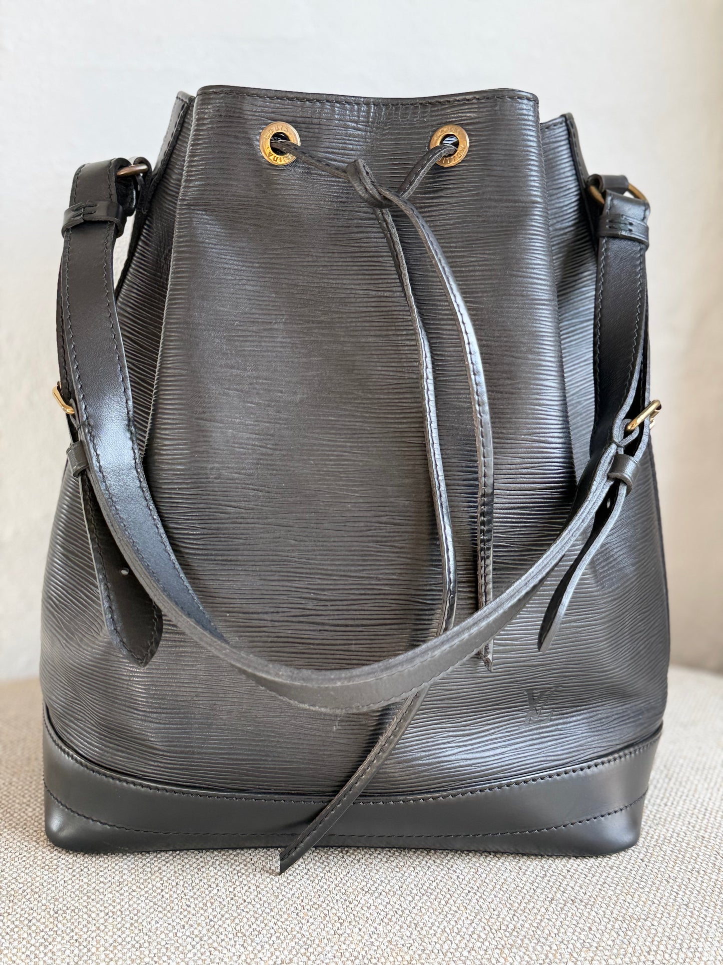 Louis Vuitton Noé Epi