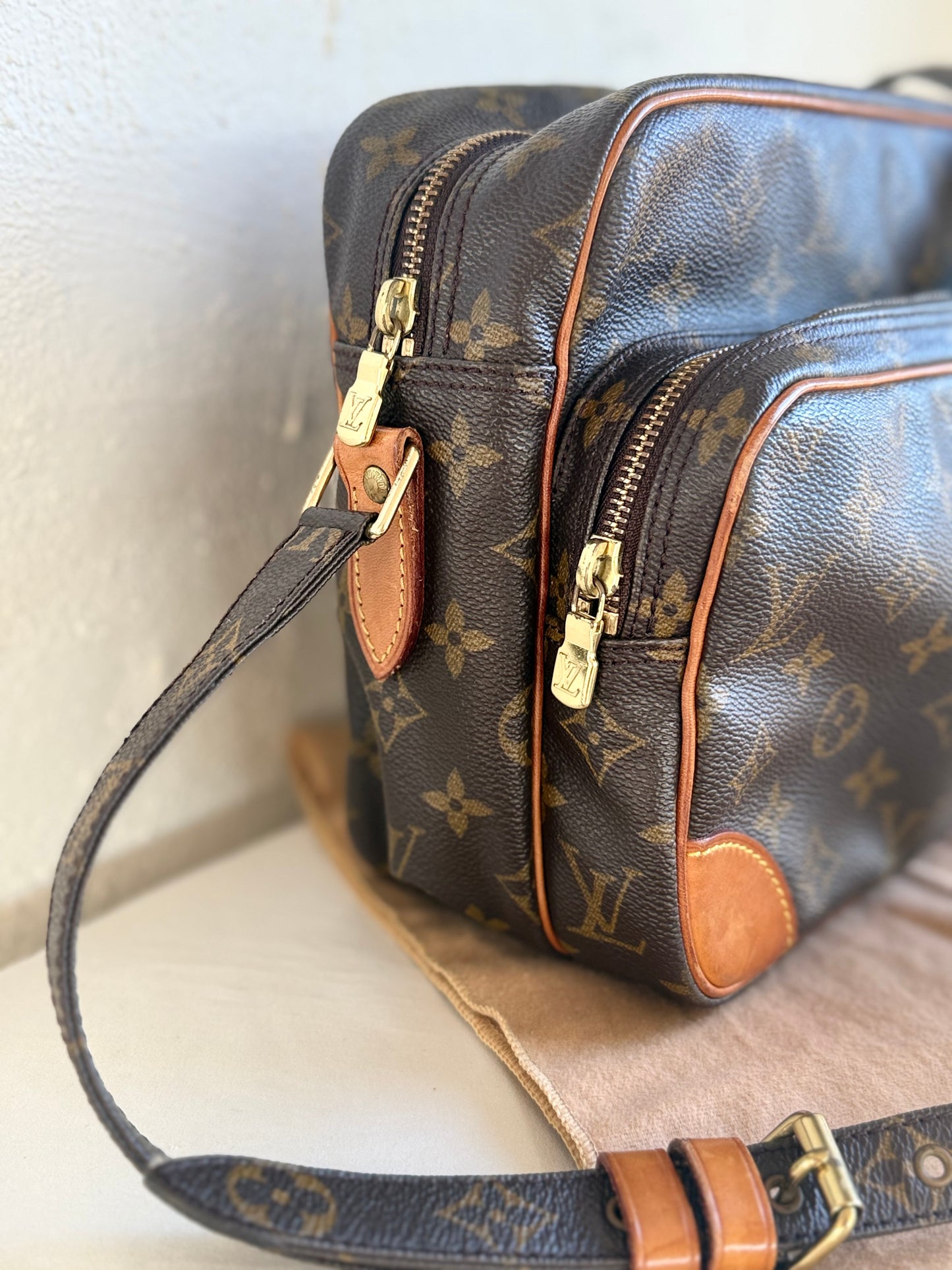 Louis Vuitton Nile bag