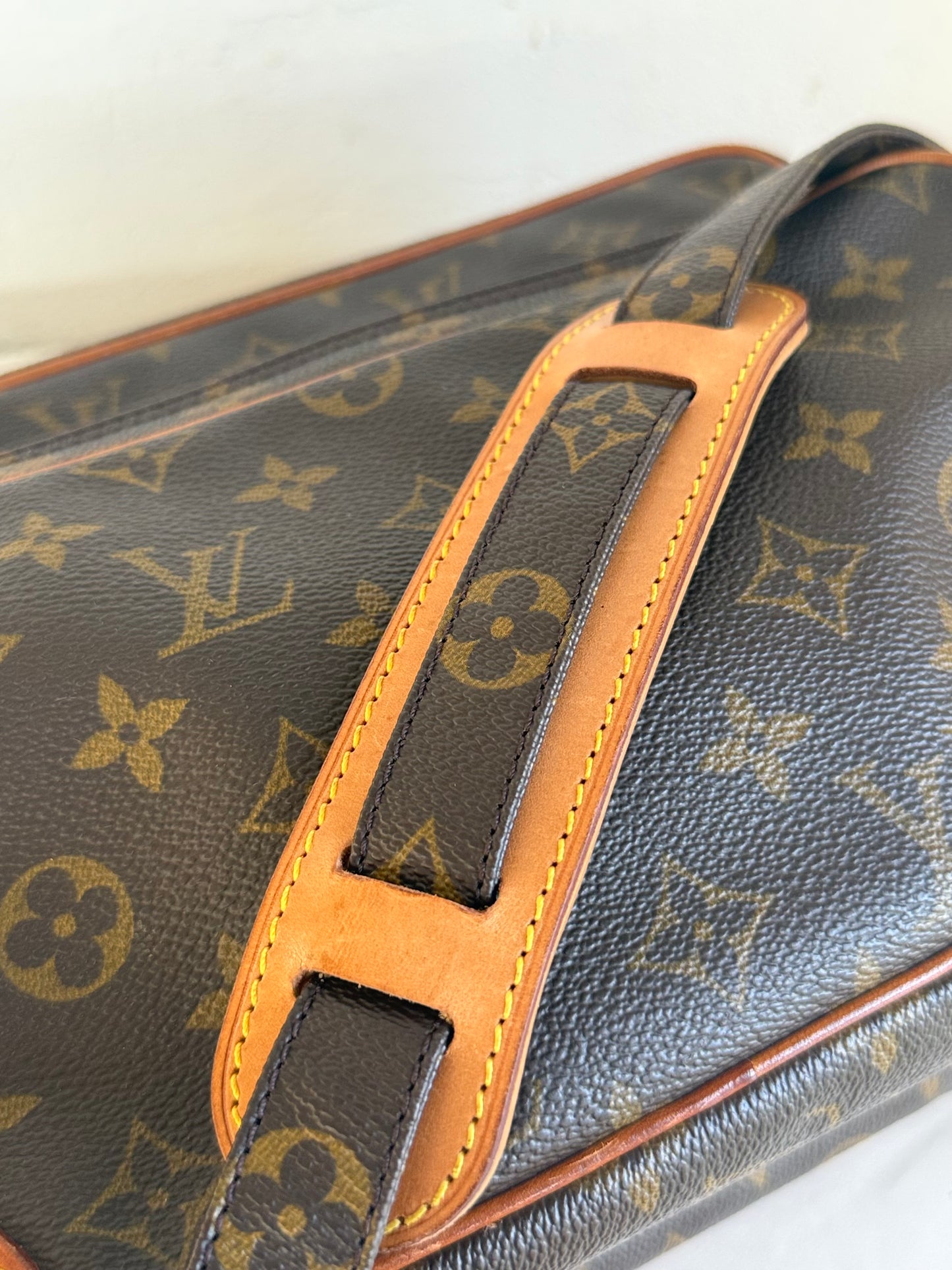 Louis Vuitton Nile bag