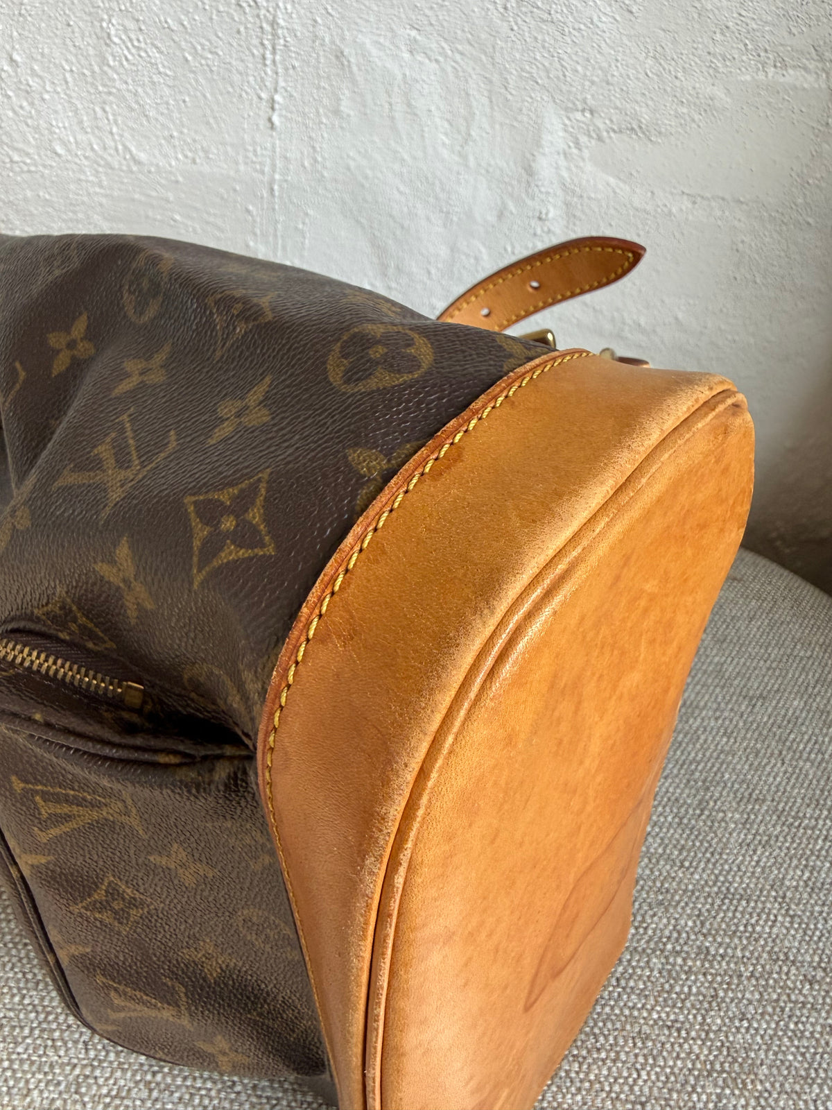 Louis Vuitton Montsouris MM Backpack