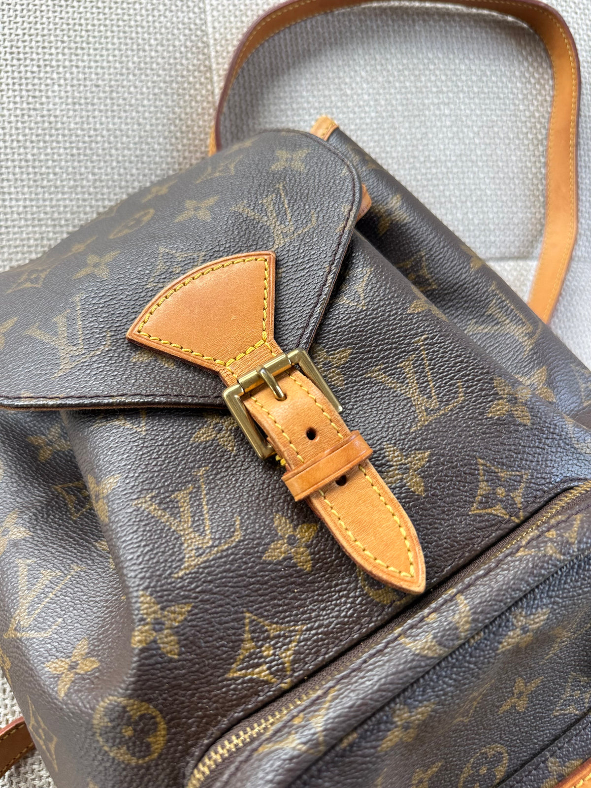 Louis Vuitton Montsouris MM Backpack