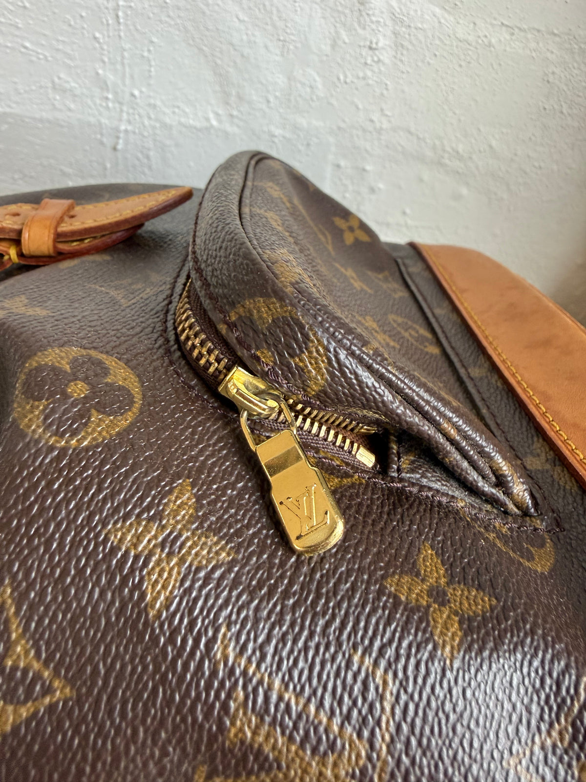Louis Vuitton Montsouris MM Backpack