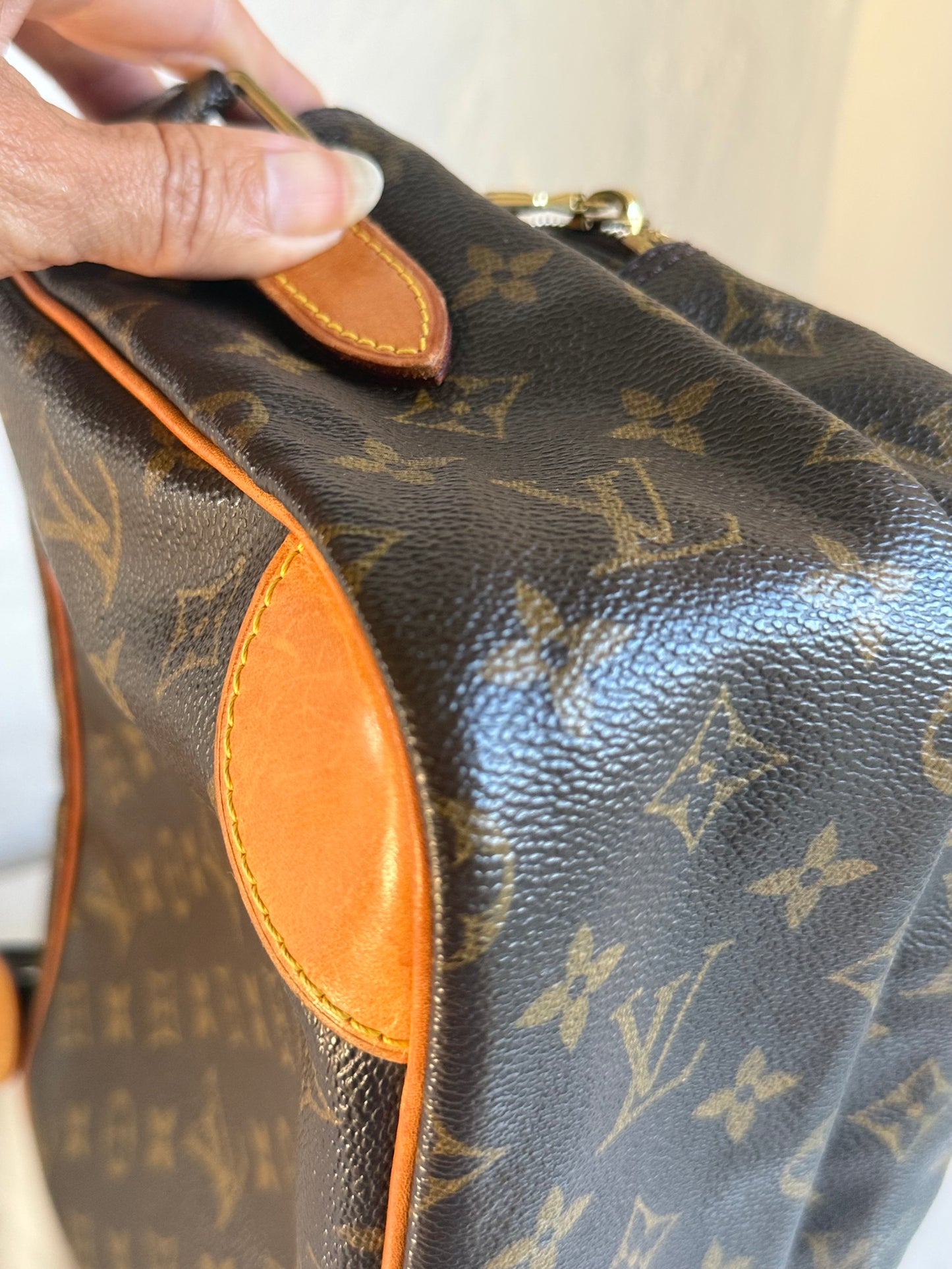 Louis Vuitton Nile bag