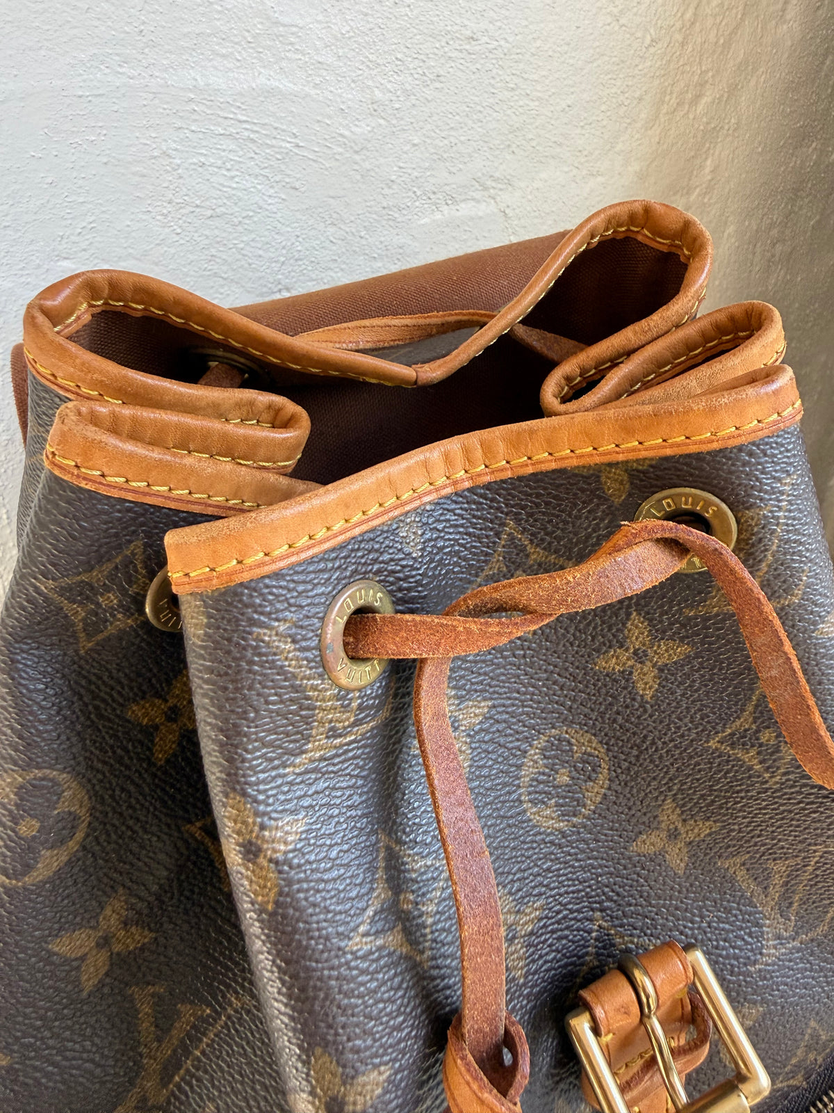 Louis Vuitton Montsouris MM Backpack