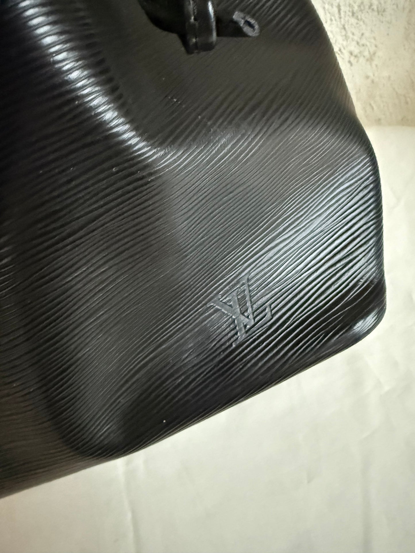 Louis Vuitton Noé Epi