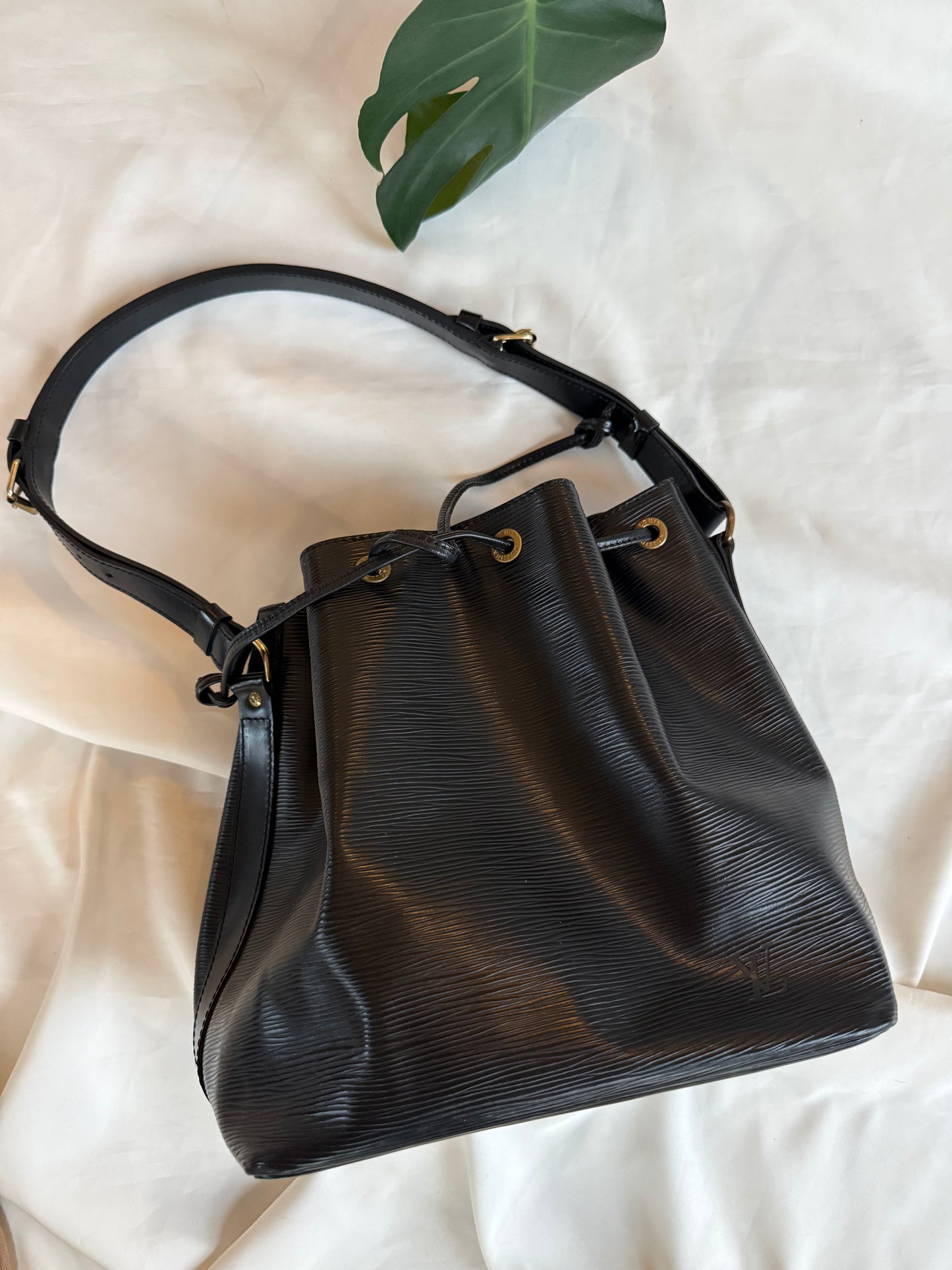 Louis Vuitton Noé Epi