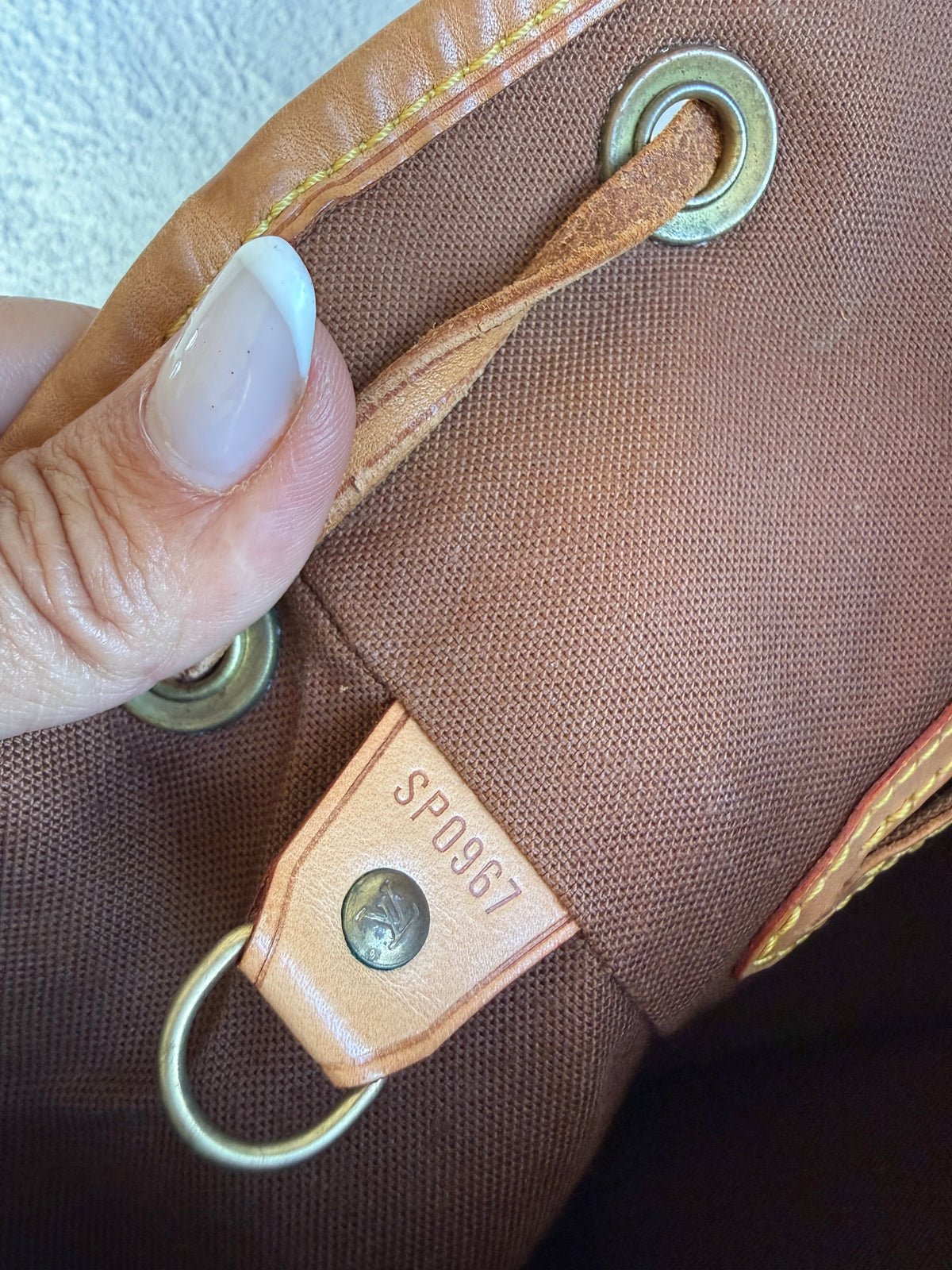 Louis Vuitton Montsouris MM Backpack