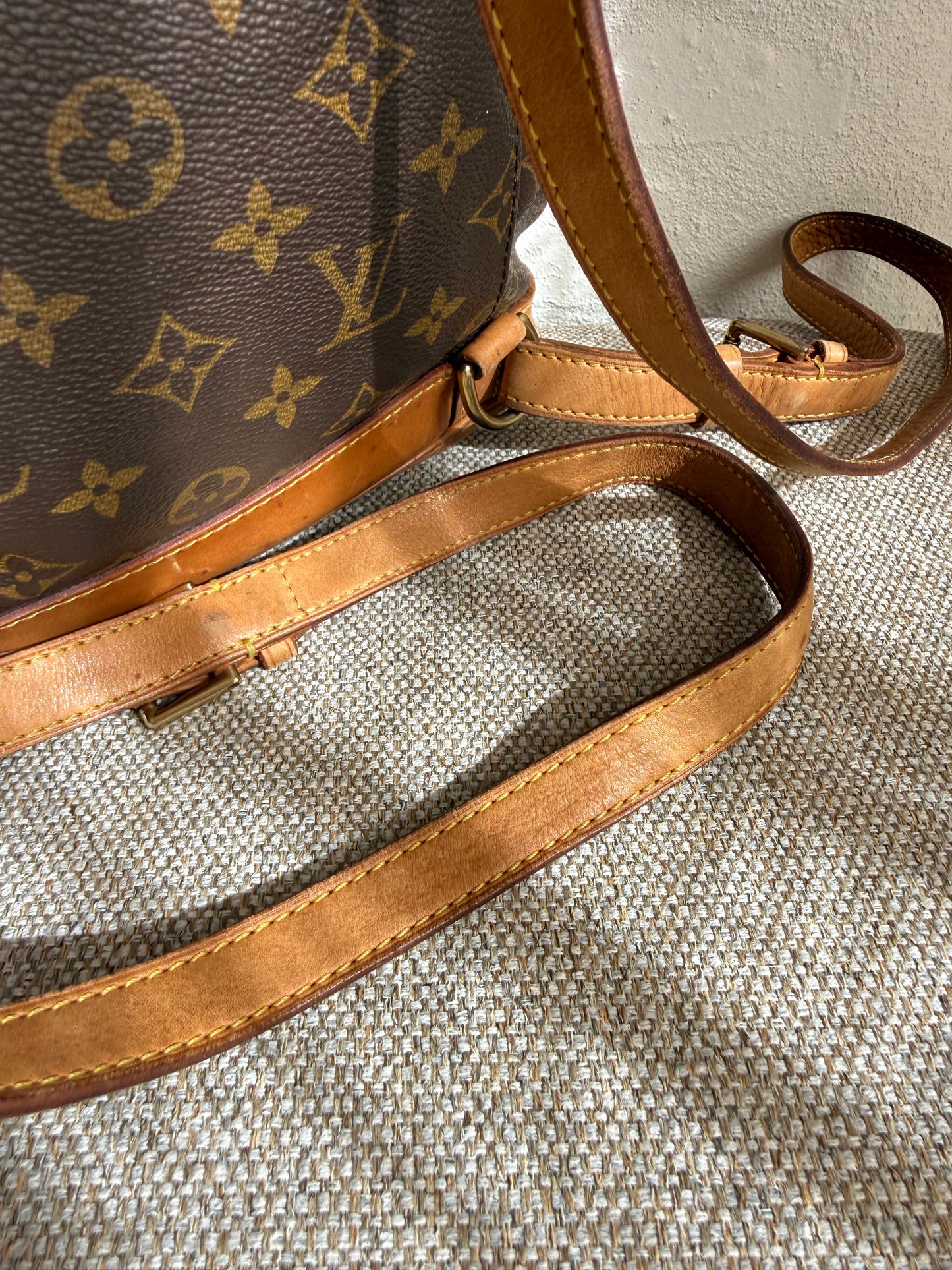 Louis Vuitton Monsouris MM Back pack