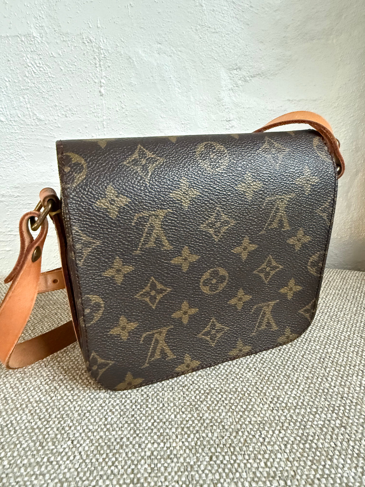 Louis Vuitton Cartouchière PM