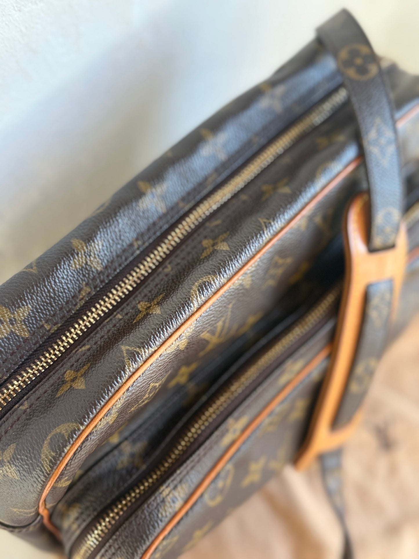 Louis Vuitton Nile bag