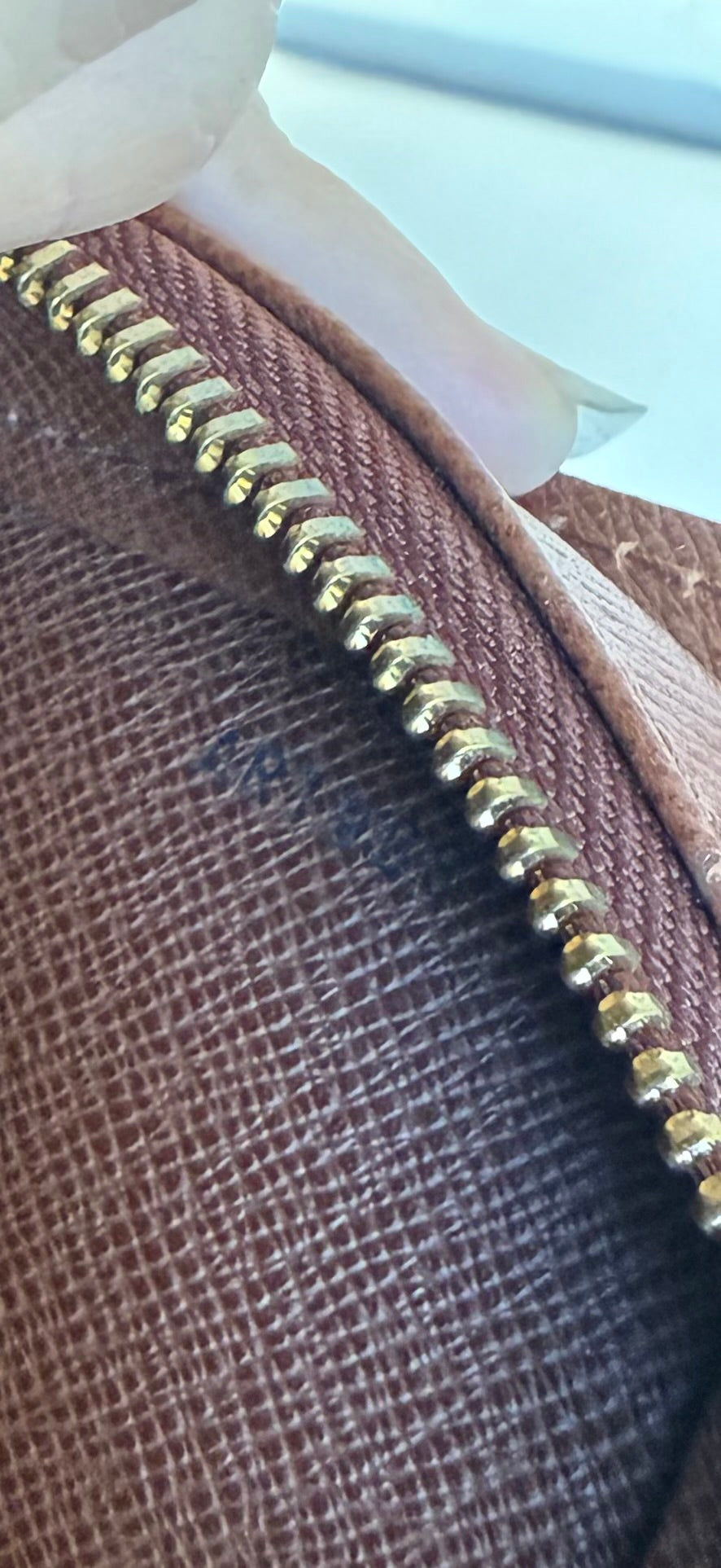 Louis Vuitton Orsay Clutch