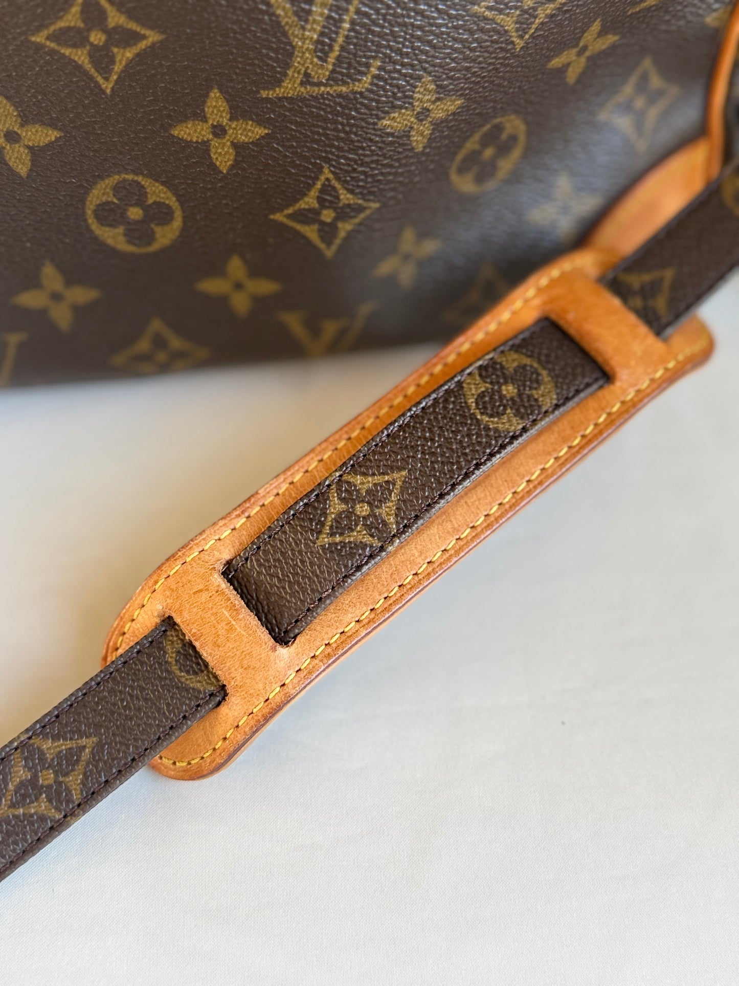 Louis Vuitton Nile bag