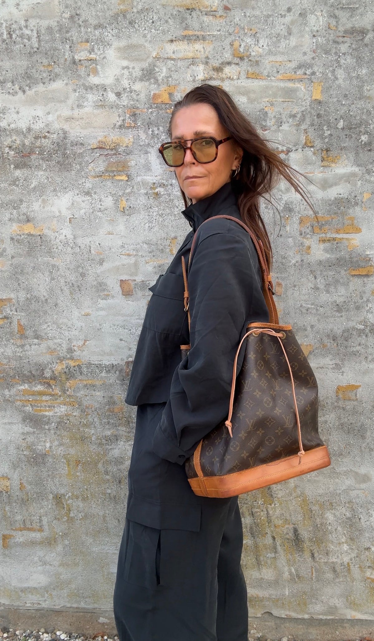 Louis Vuitton Noé