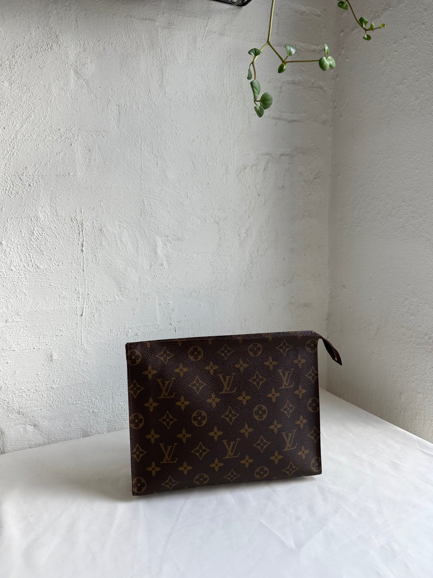 Louis Vuitton toilet/clutch bag