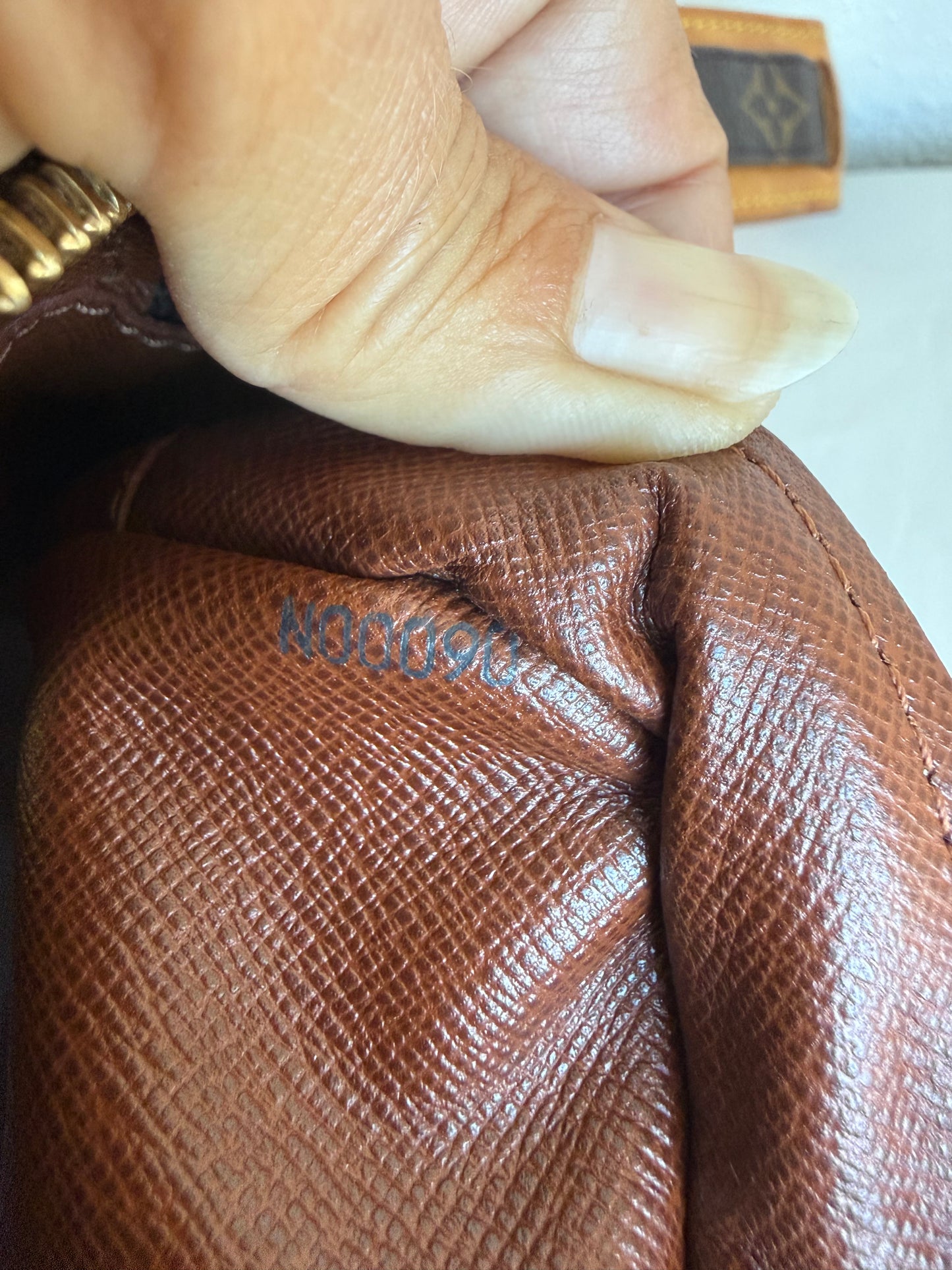 Louis Vuitton Nile bag
