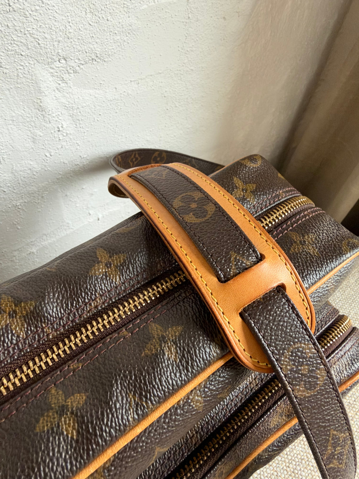 Louis Vuitton Nile bag