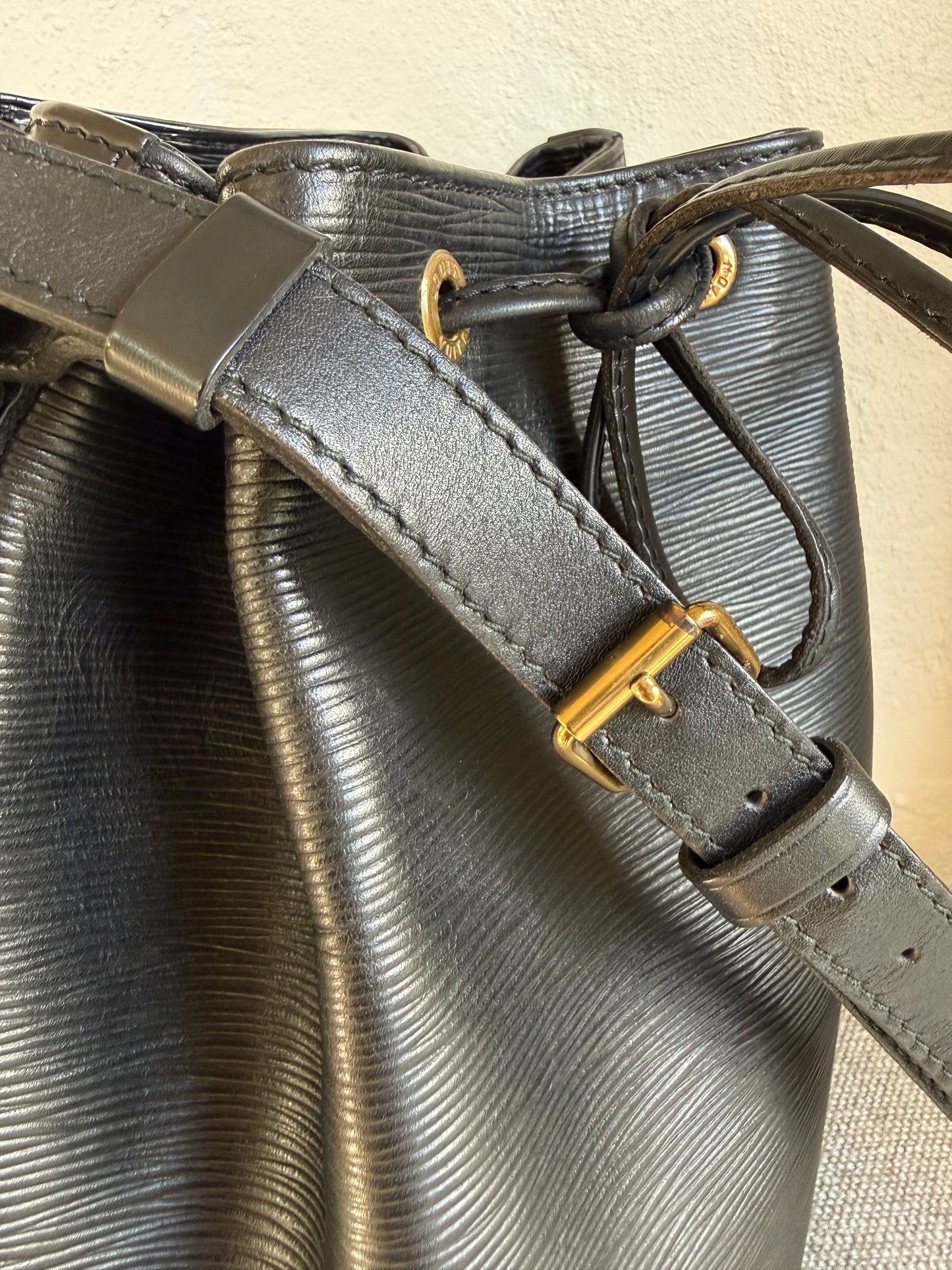 Louis Vuitton Noé Epi