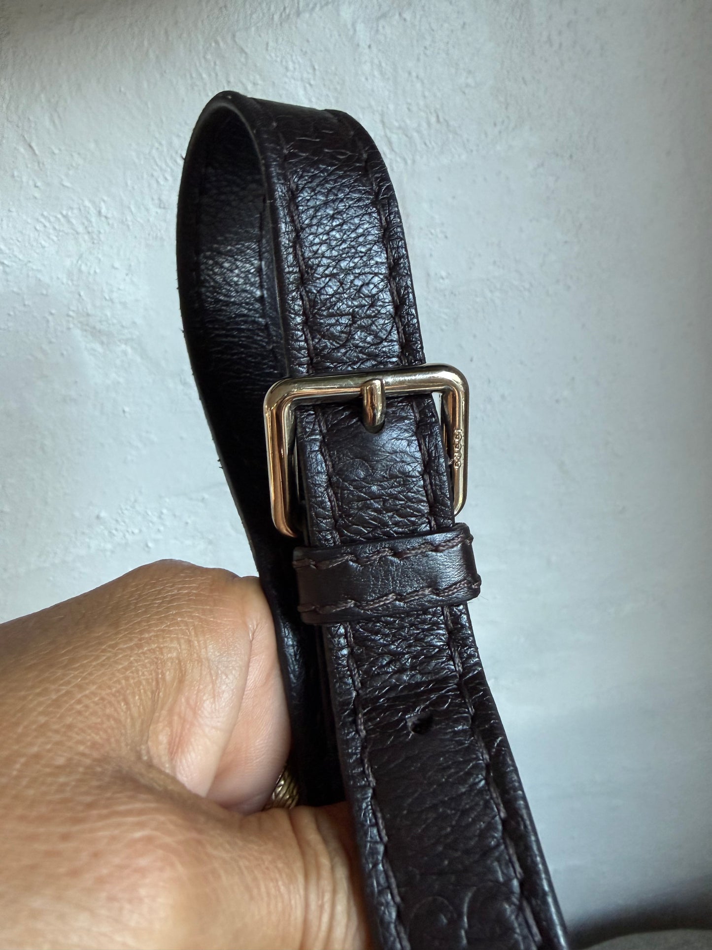 Gucci Guccissisma Hobo bag