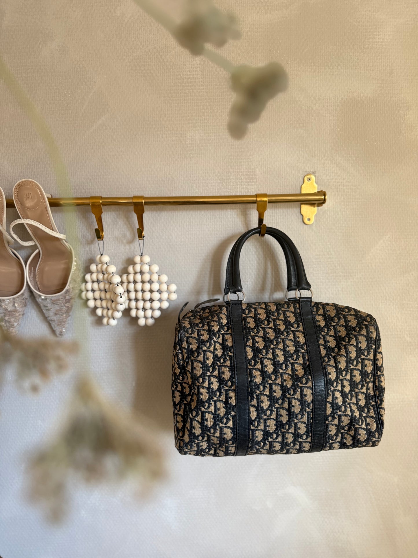 Christian Dior Trotter bag