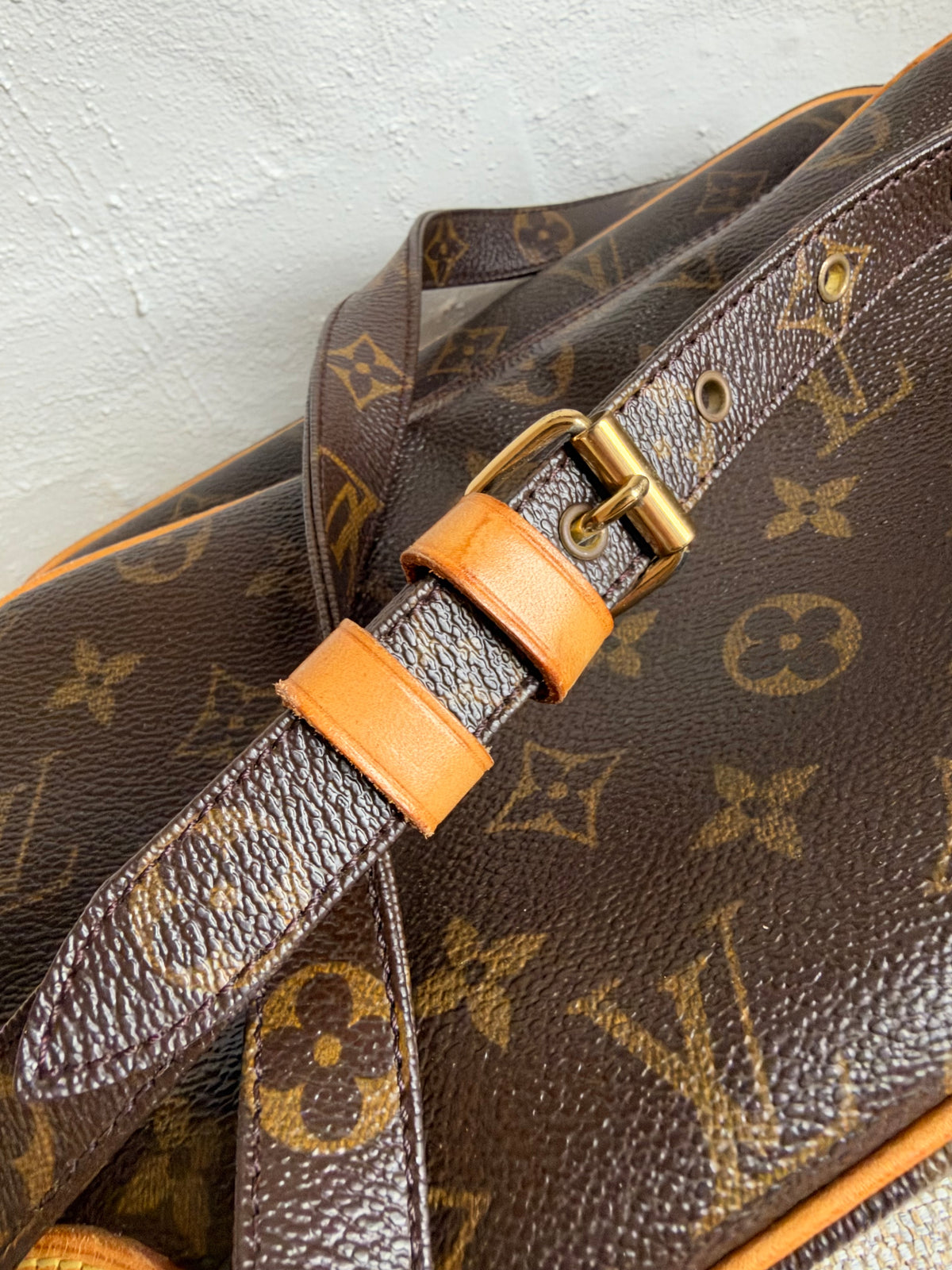 Louis Vuitton Nile bag