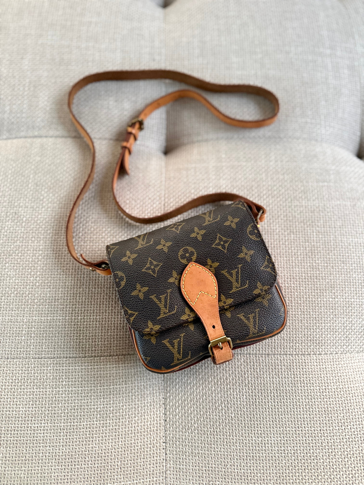 Louis Vuitton Cartouchière PM