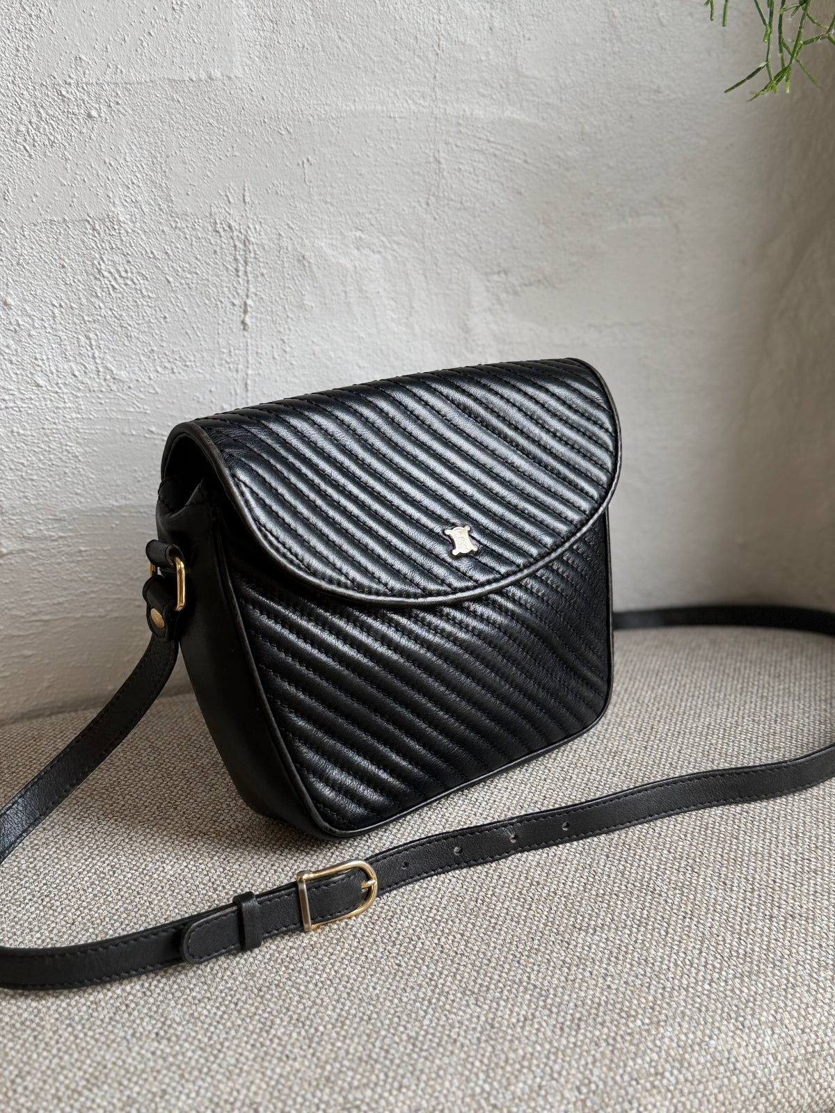 Celine cross/shoulder bag