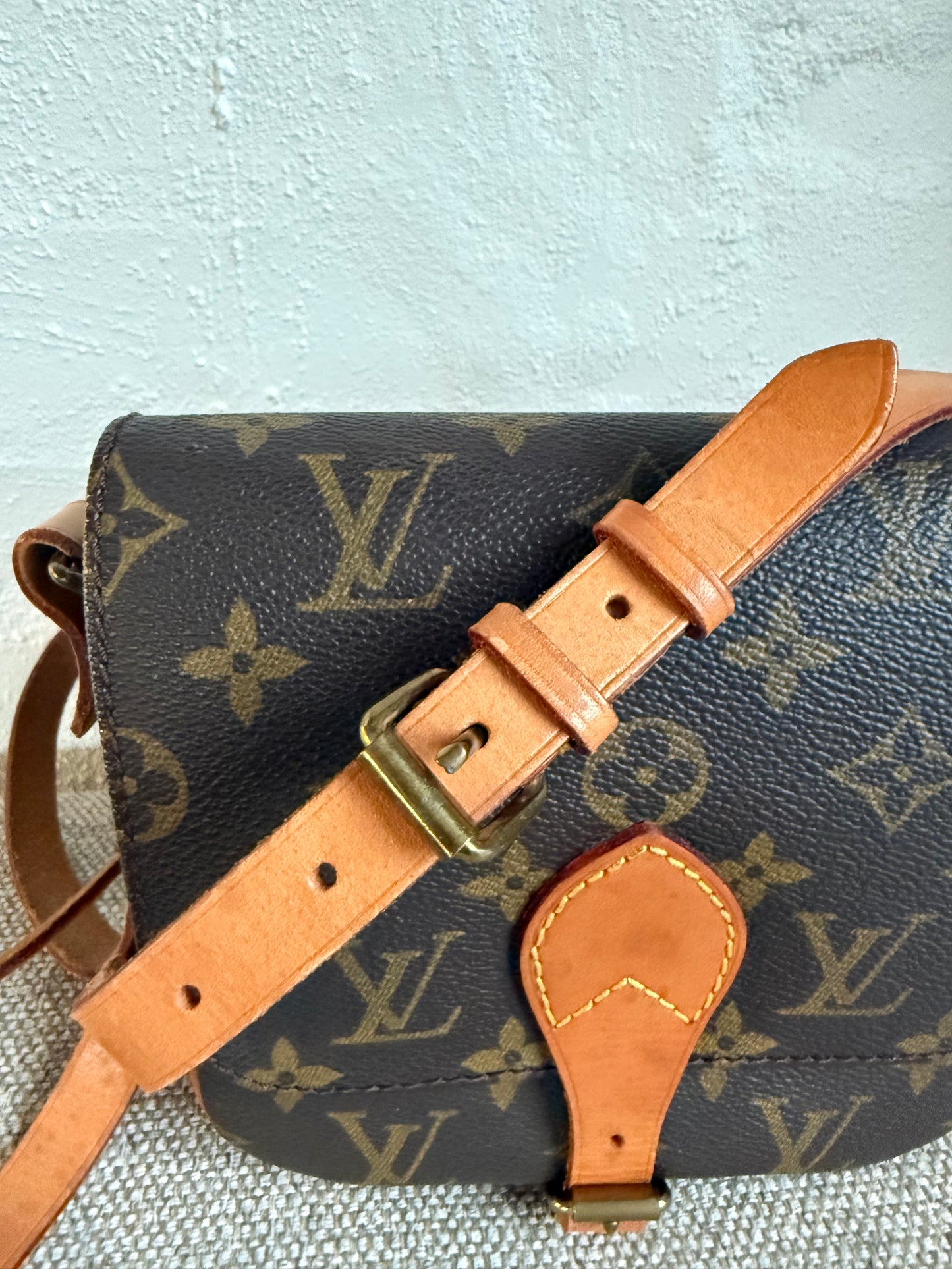 Louis Vuitton Cartouchière PM