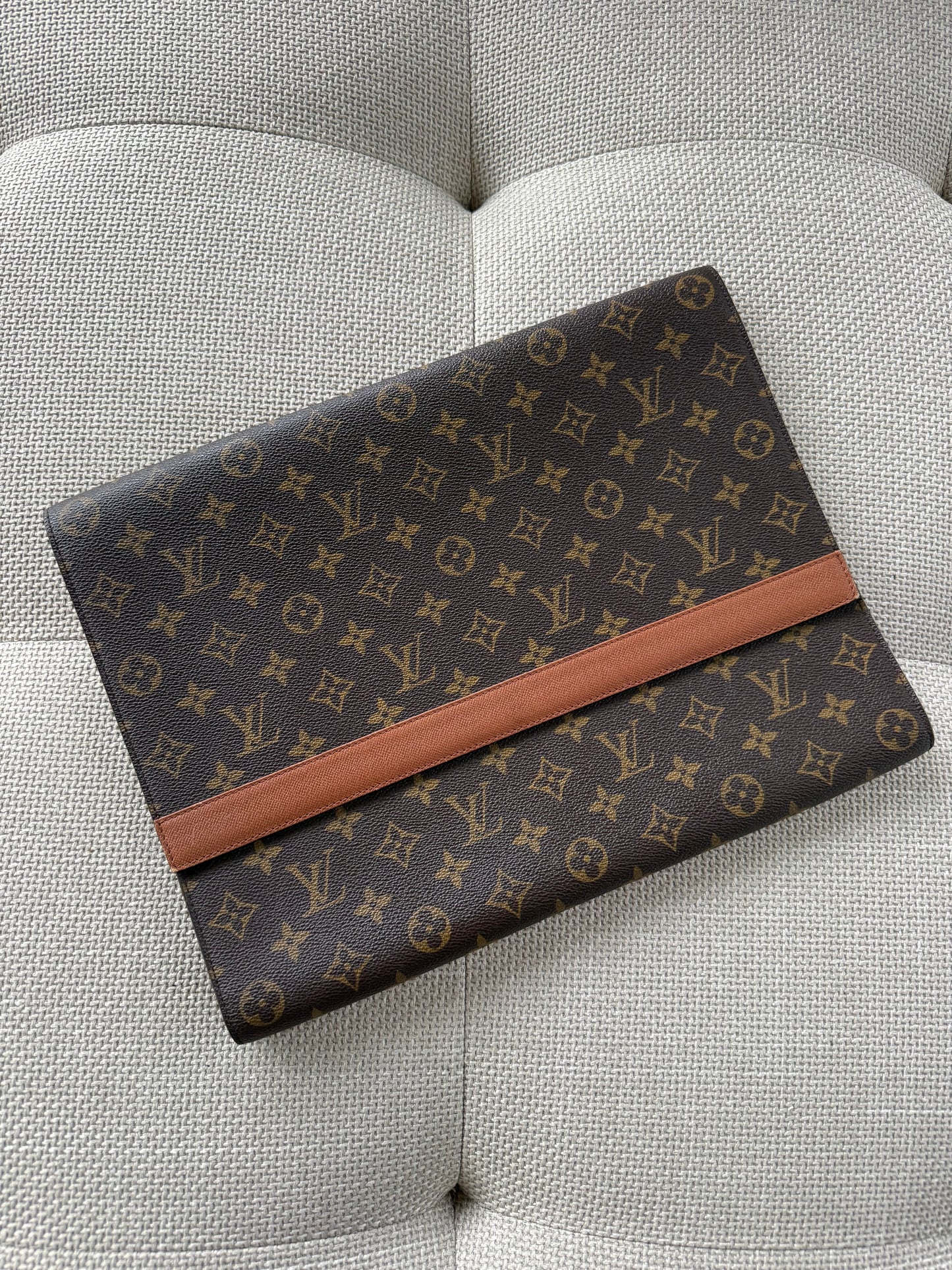Louis Vuitton pc sleeve