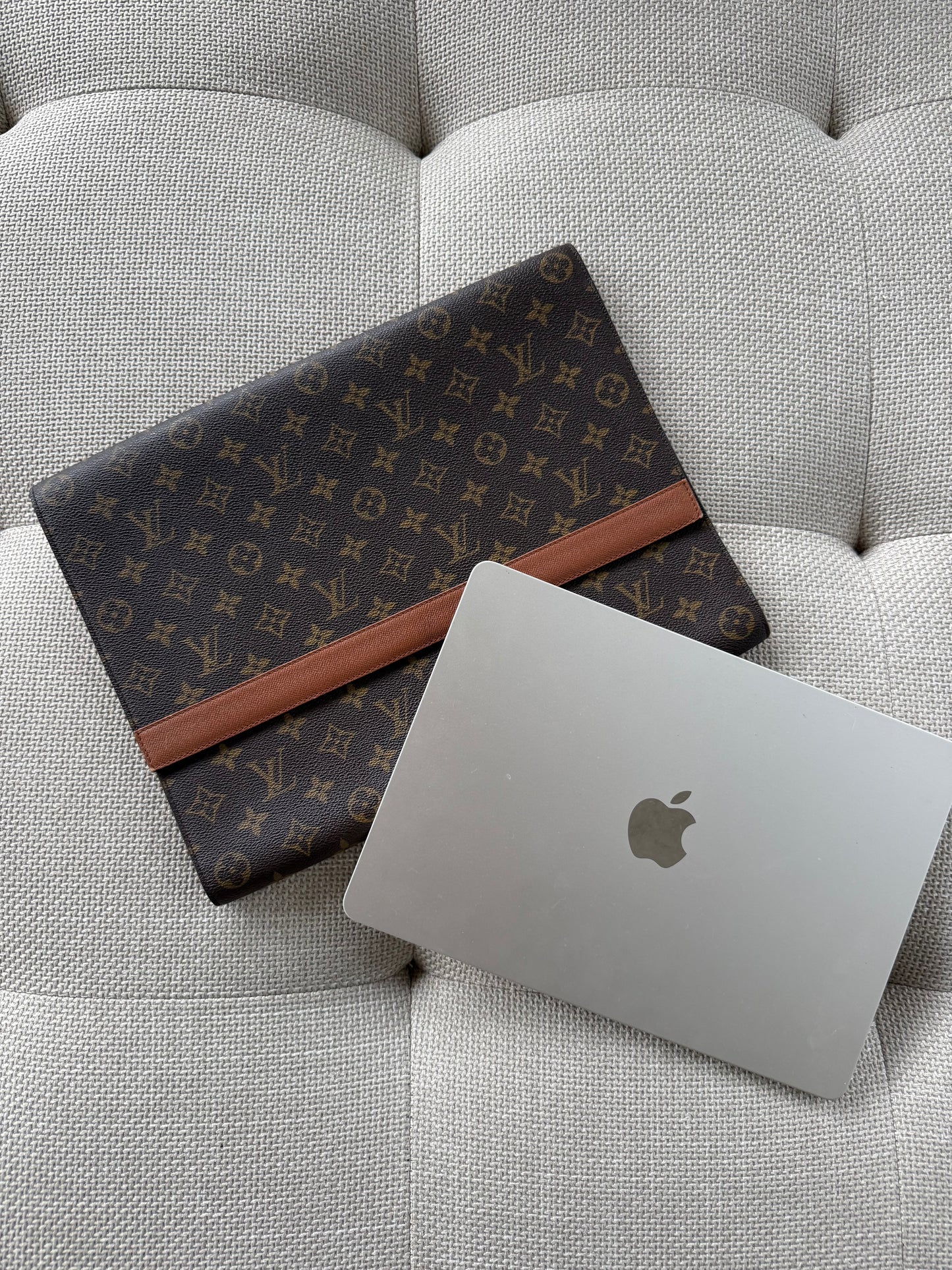 Louis Vuitton pc sleeve
