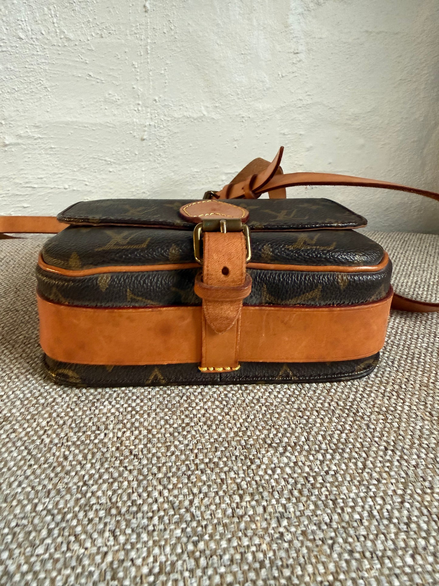 Louis Vuitton Cartouchière PM