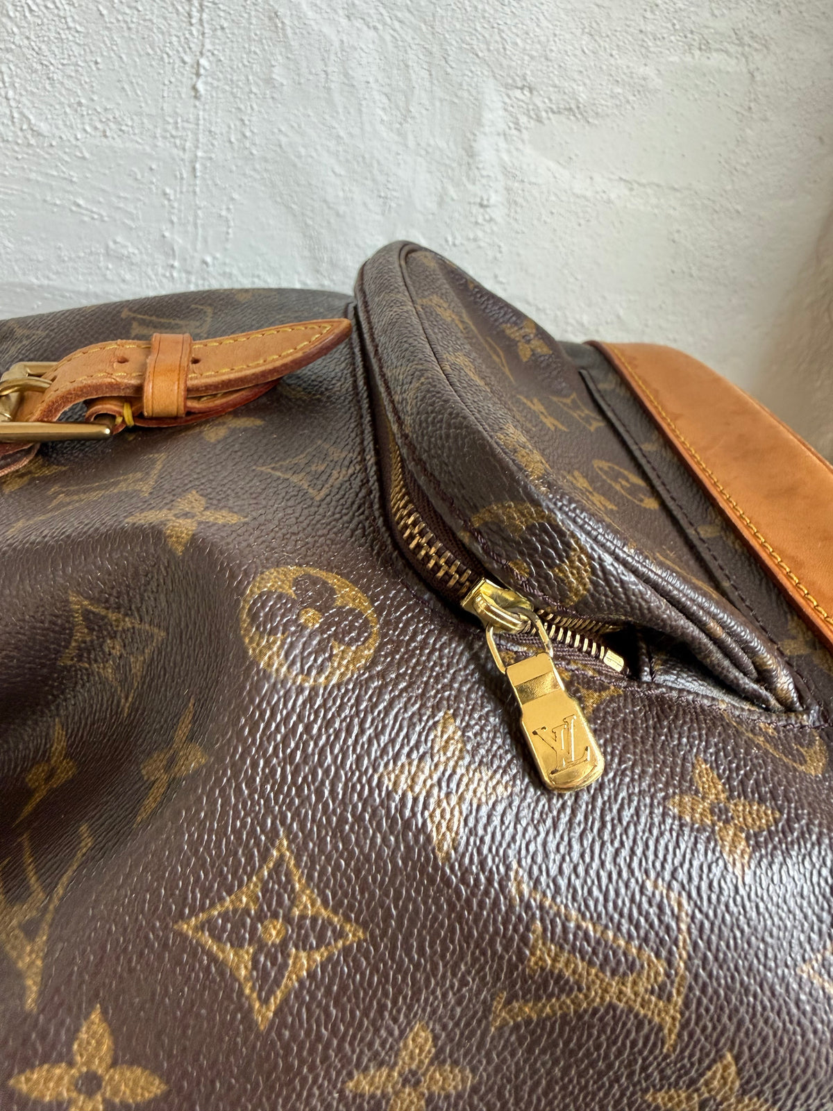 Louis Vuitton Montsouris MM Backpack