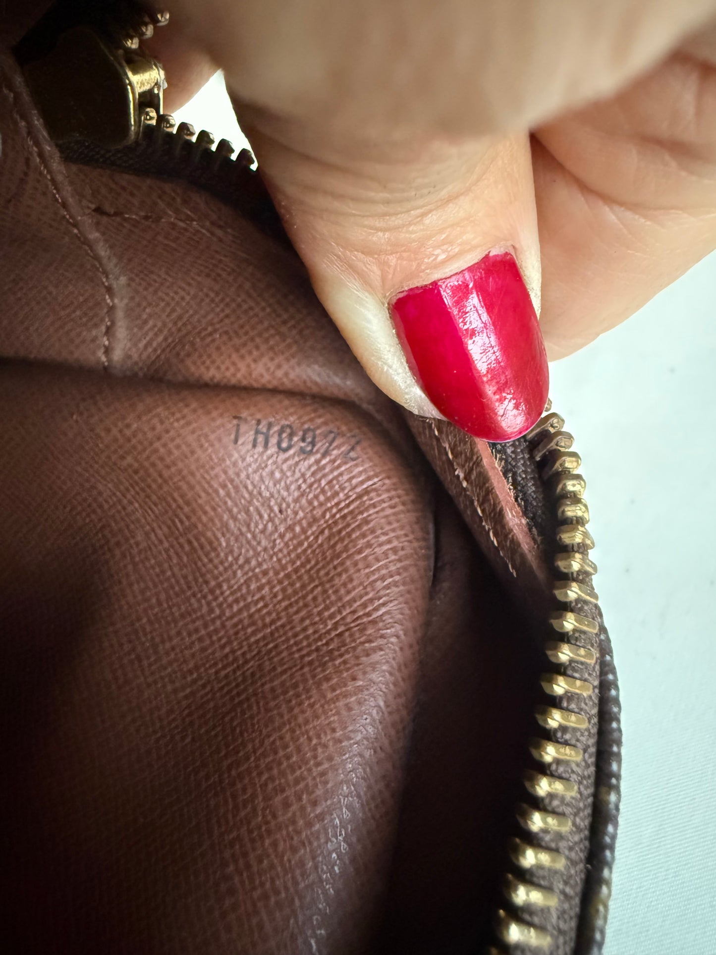 Louis Vuitton Nile bag