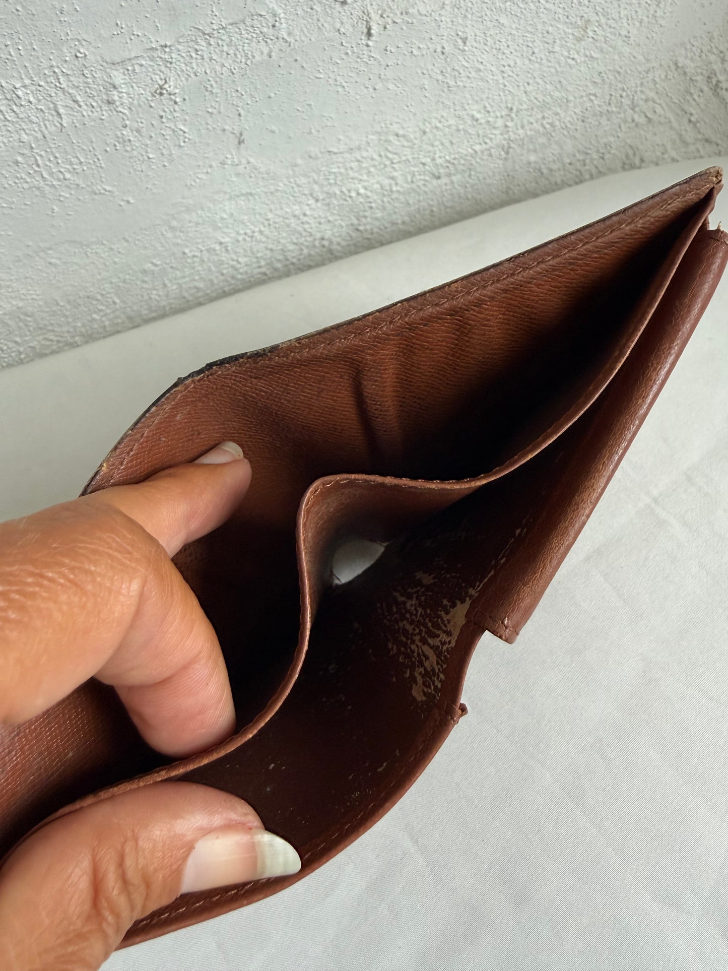 Louis Vuitton pung